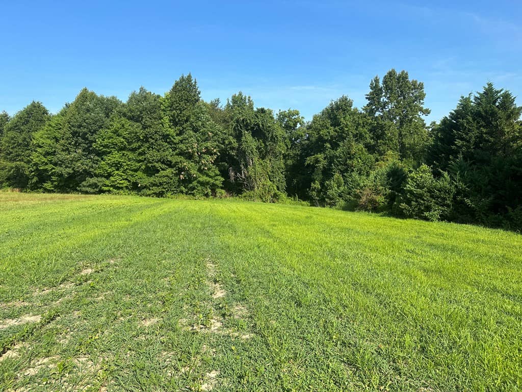 Hunting, Fishing, Recreation: Create Your Dream Retreat on Newton Road’s 22 Acres!