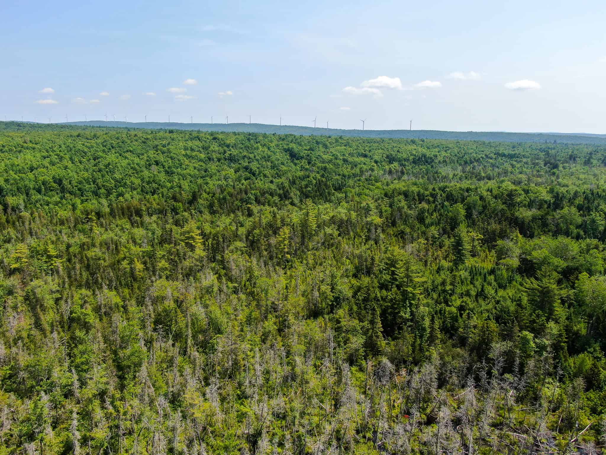 Maine Off-grid Retreat