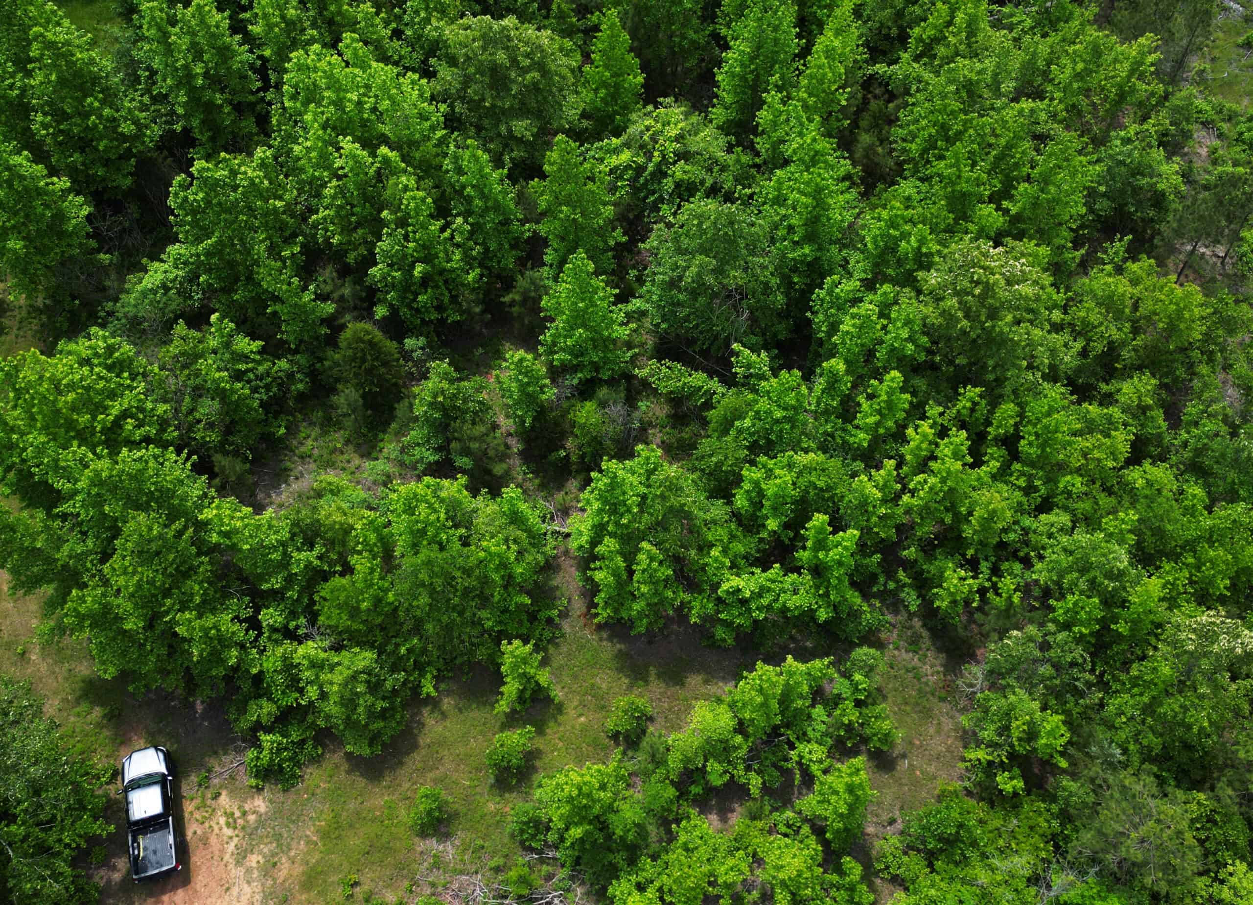 Excellent Hunting Land in Miller County