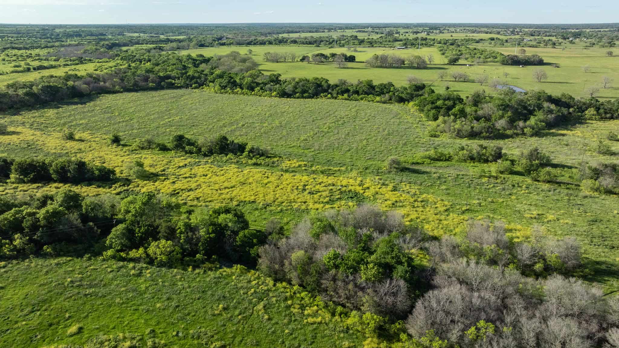 Central TX Ranch for Sale Between Austin & San Antonio