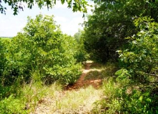 Recreational Hobby Farm For Sale, Chandler, Oklahoma