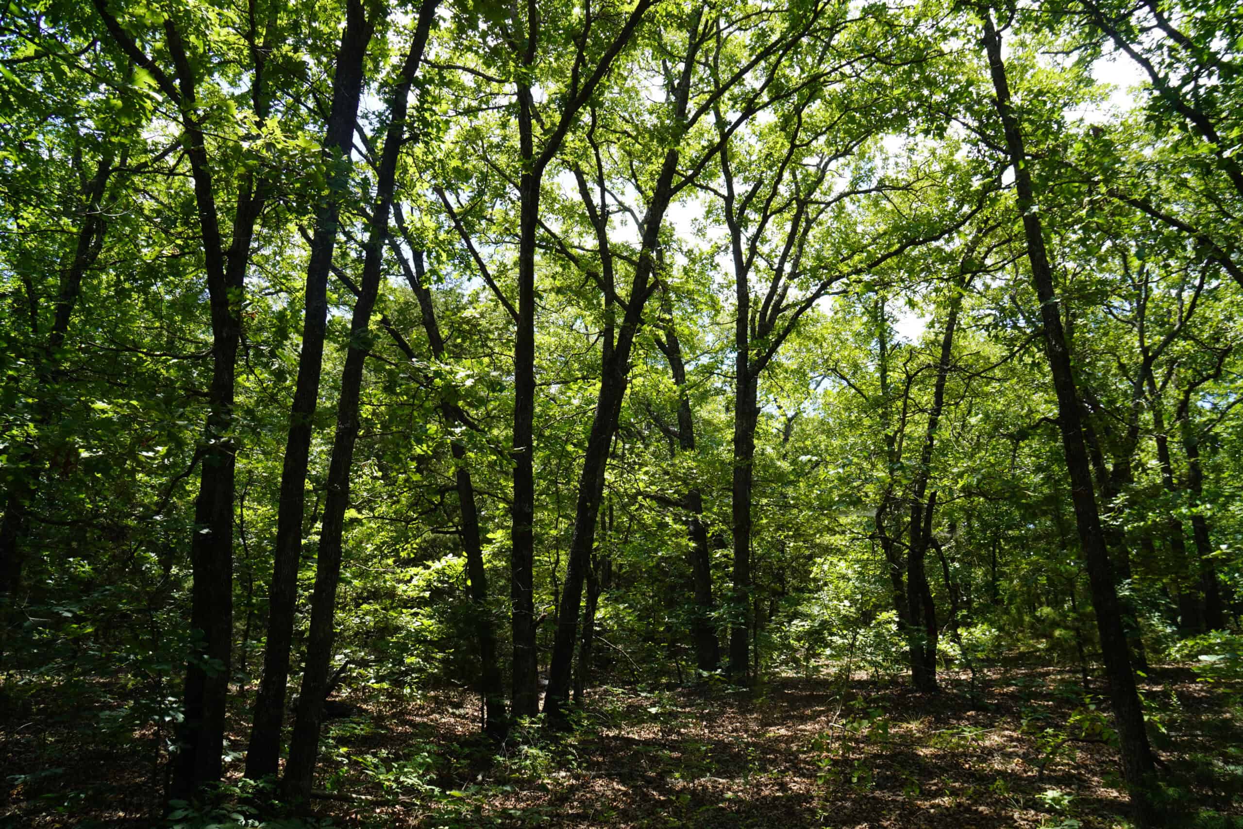 Recreational Hobby Farm For Sale, Chandler, Oklahoma