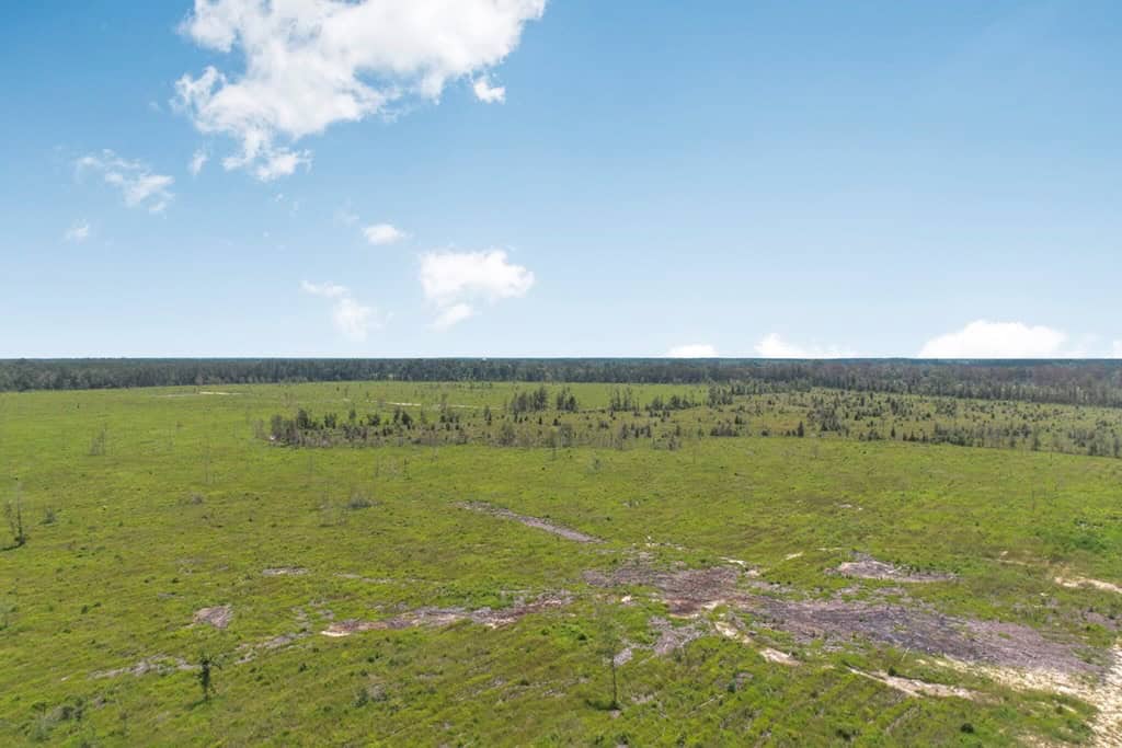 Land for Sale in Tangipahoa Parish, LA.