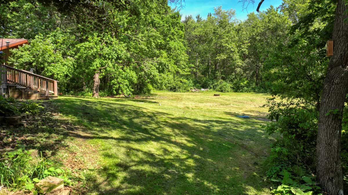 Western Jackson County, WI 11.77 Timbered Acre
