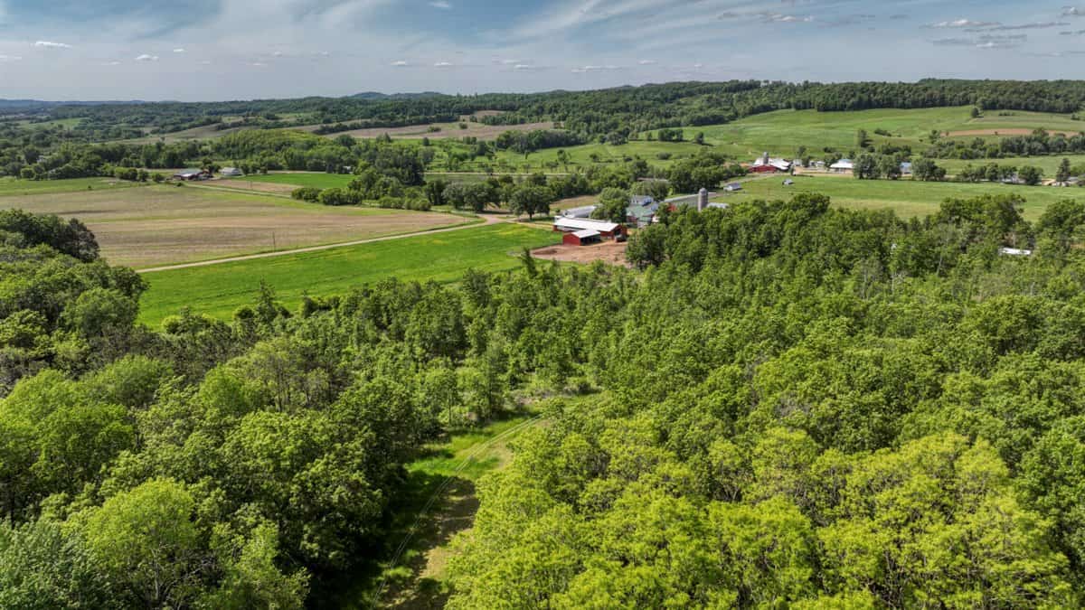 Located in Western Jackson County, WI this 23.55 acres