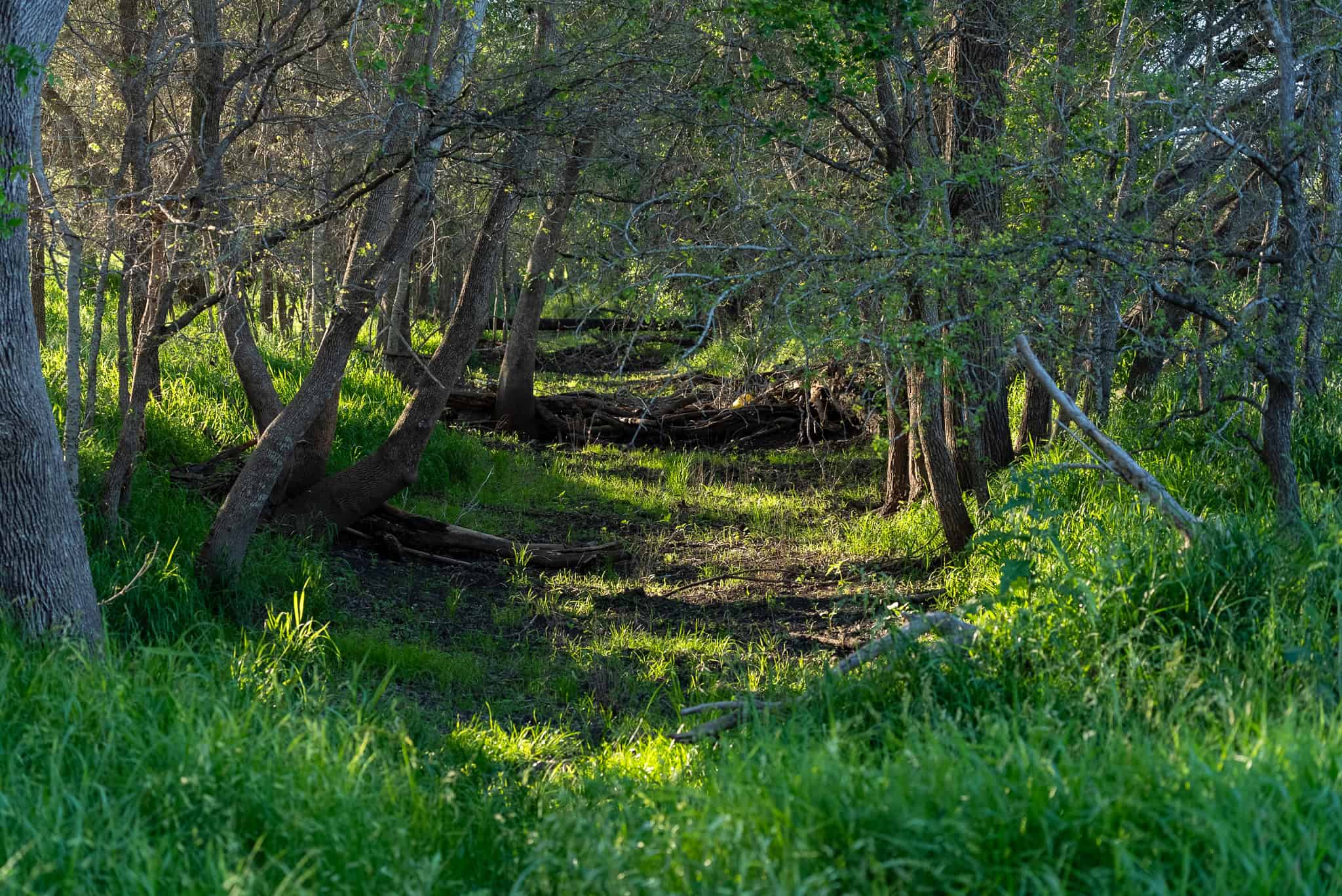 Central TX Ranch for Sale Between Austin & San Antonio