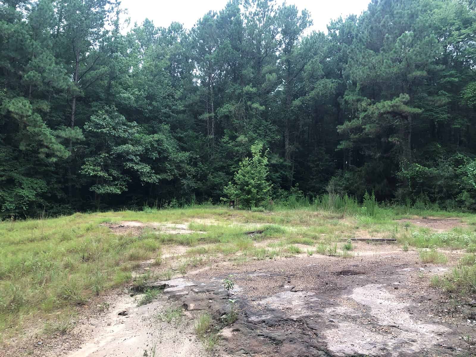 East Texas Secluded Timber / Hunting Property ±49.11 Acres