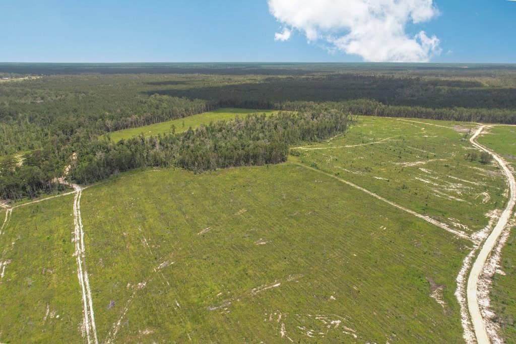 Land for Sale in Tangipahoa Parish, LA.