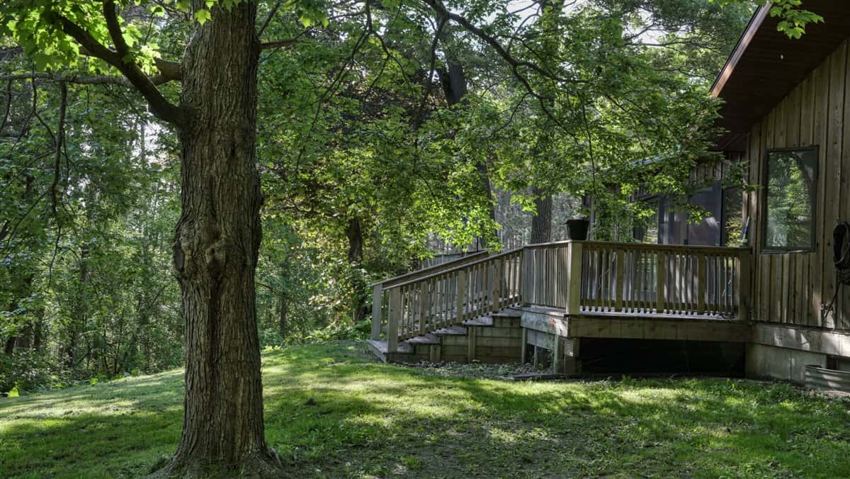 Western Jackson County, WI 11.77 Timbered Acre