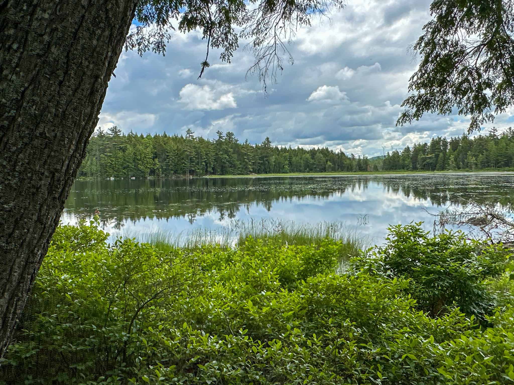 Maine Lakefront Land