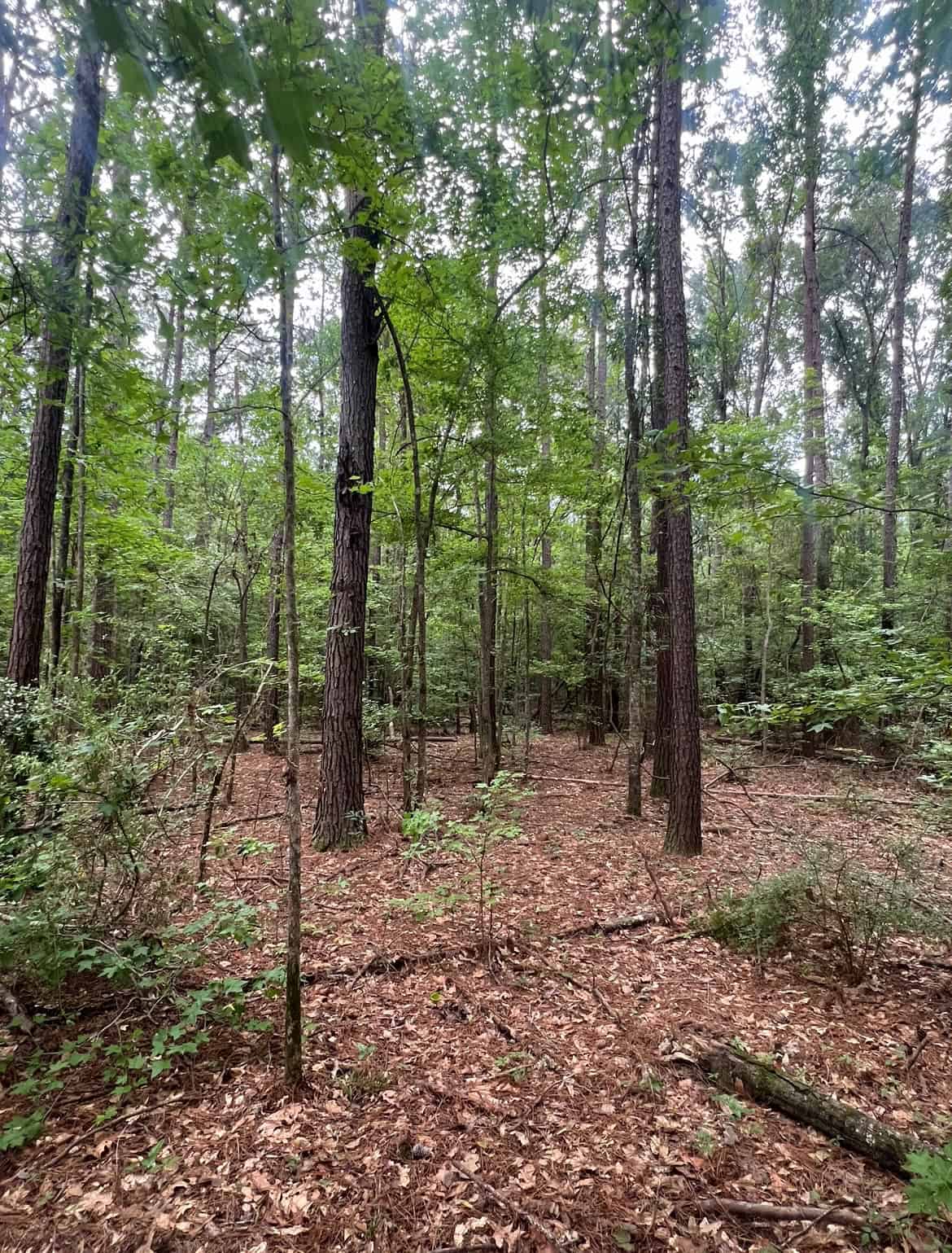 000 Cooper Church Road, Leesville, Louisiana
