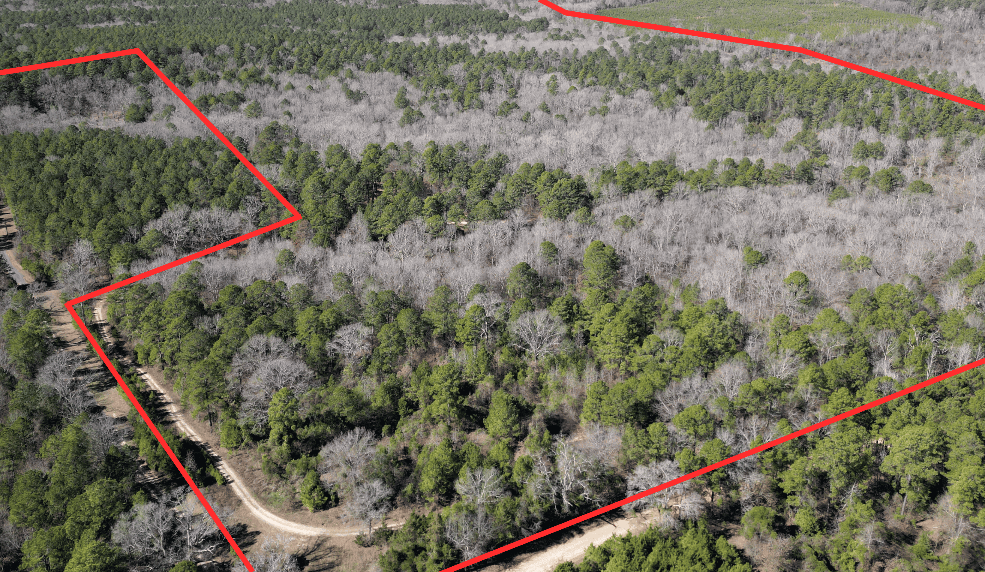 546.23 Acres Of Cass County Hunting/Timber/Recreational Land