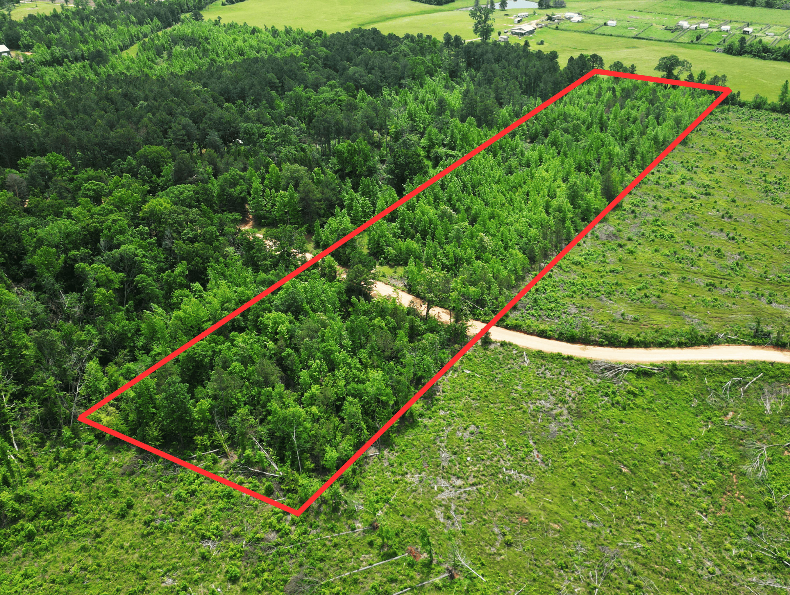 Excellent Hunting Land in Miller County