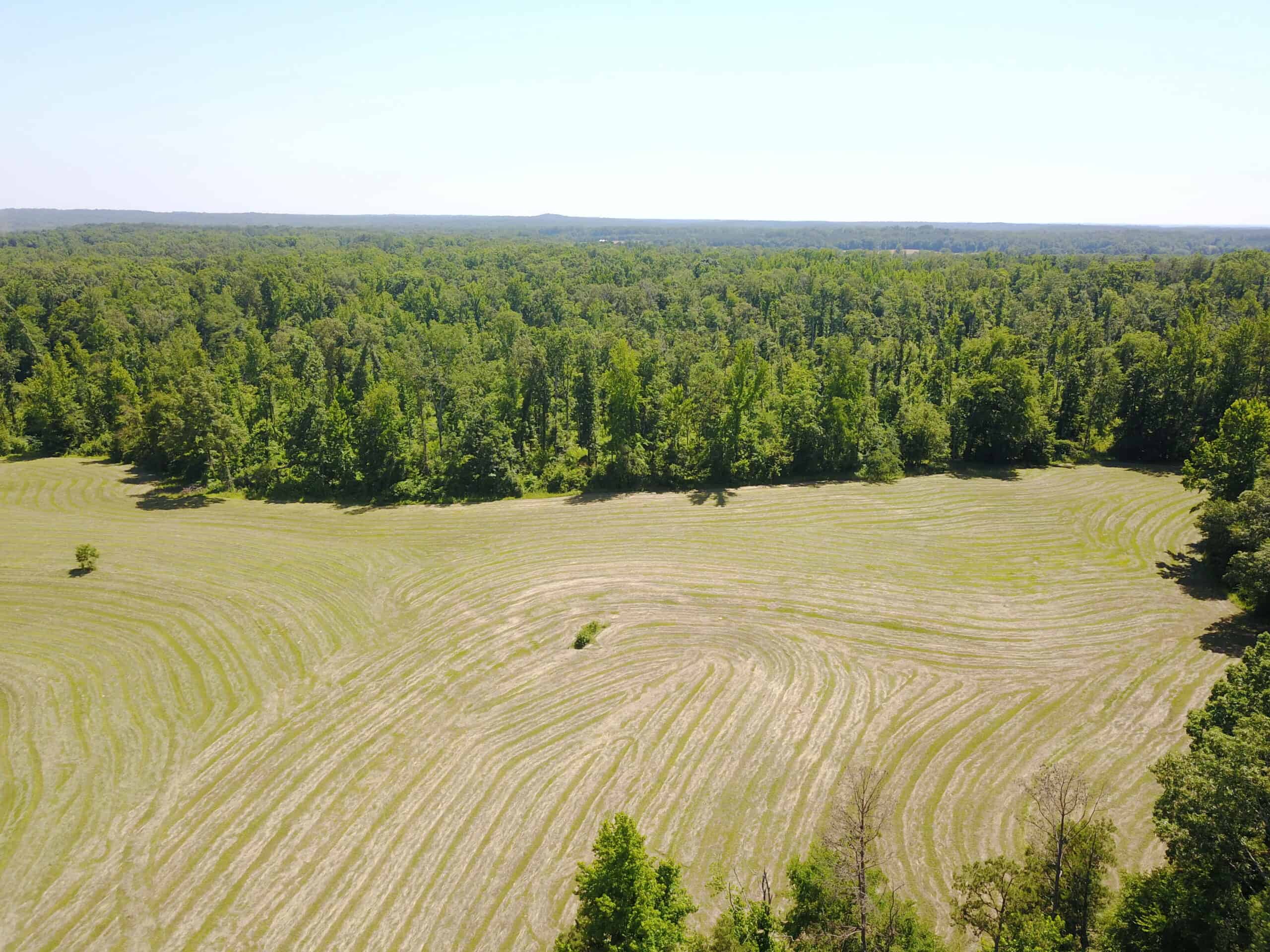 COUNTRY HOME FOR SALE IN MCNAIRY TN WITH 79.2 AC   – WHITE TAILED DEER HUNTING LAND – NO RESTRICTIONS