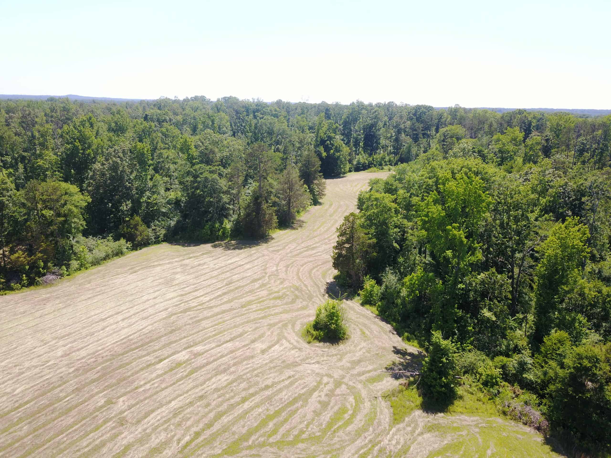 COUNTRY HOME FOR SALE IN MCNAIRY TN WITH 79.2 AC   – WHITE TAILED DEER HUNTING LAND – NO RESTRICTIONS