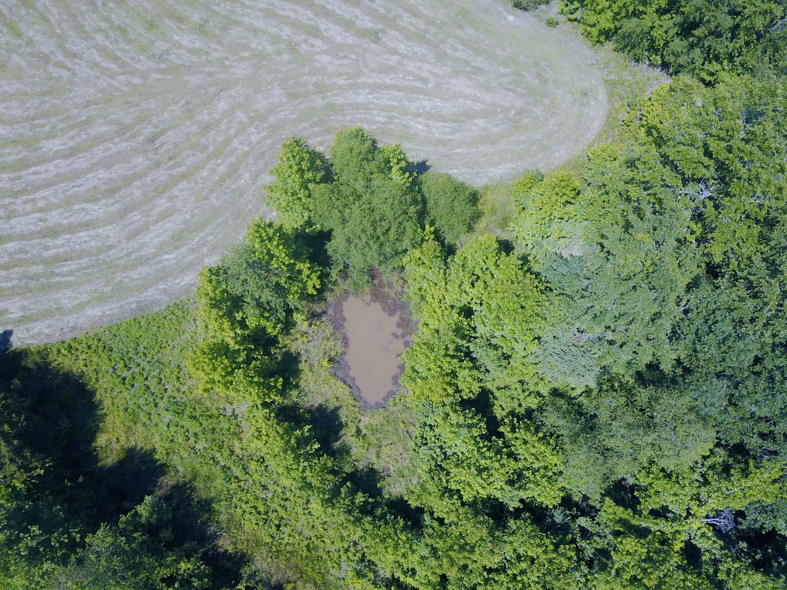 COUNTRY HOME FOR SALE IN MCNAIRY TN WITH 79.2 AC   – WHITE TAILED DEER HUNTING LAND – NO RESTRICTIONS