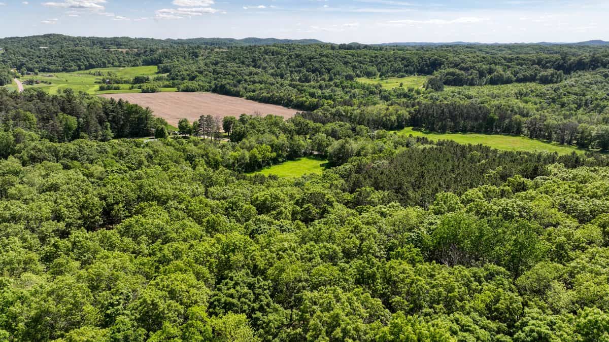 10.2 Acres in Jackson County Wisconsin