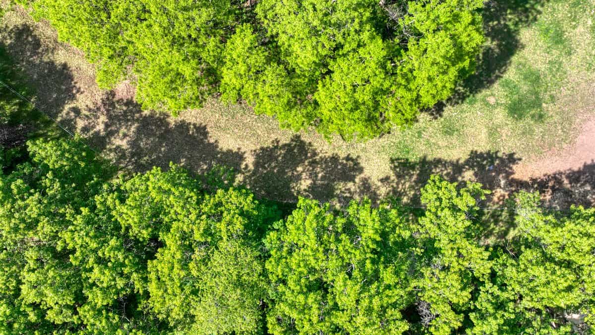 Located in Western Jackson County, WI this 23.55 acres