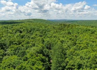 Affordable Maine Timberland Lot