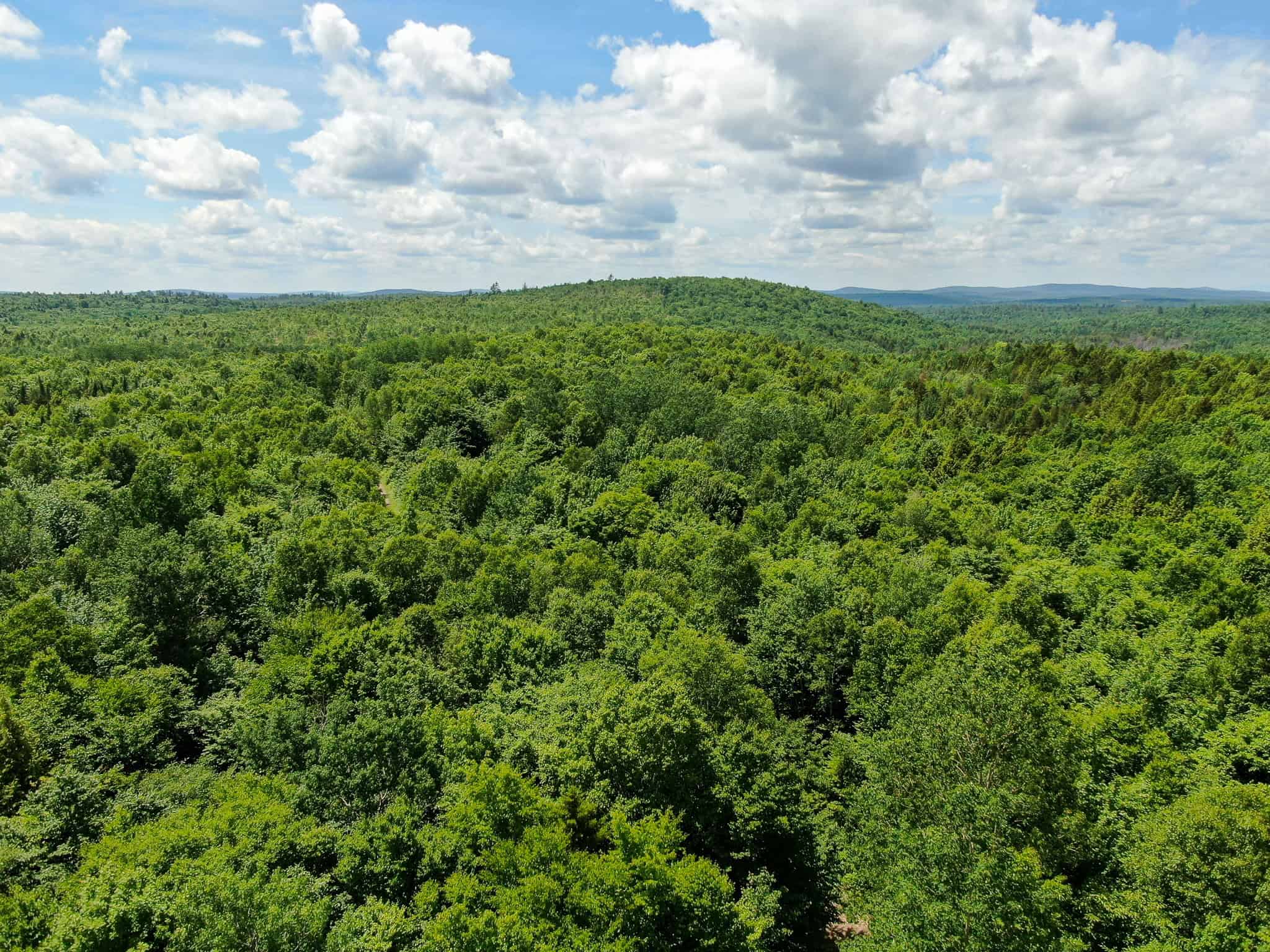 Affordable Maine Timberland Lot