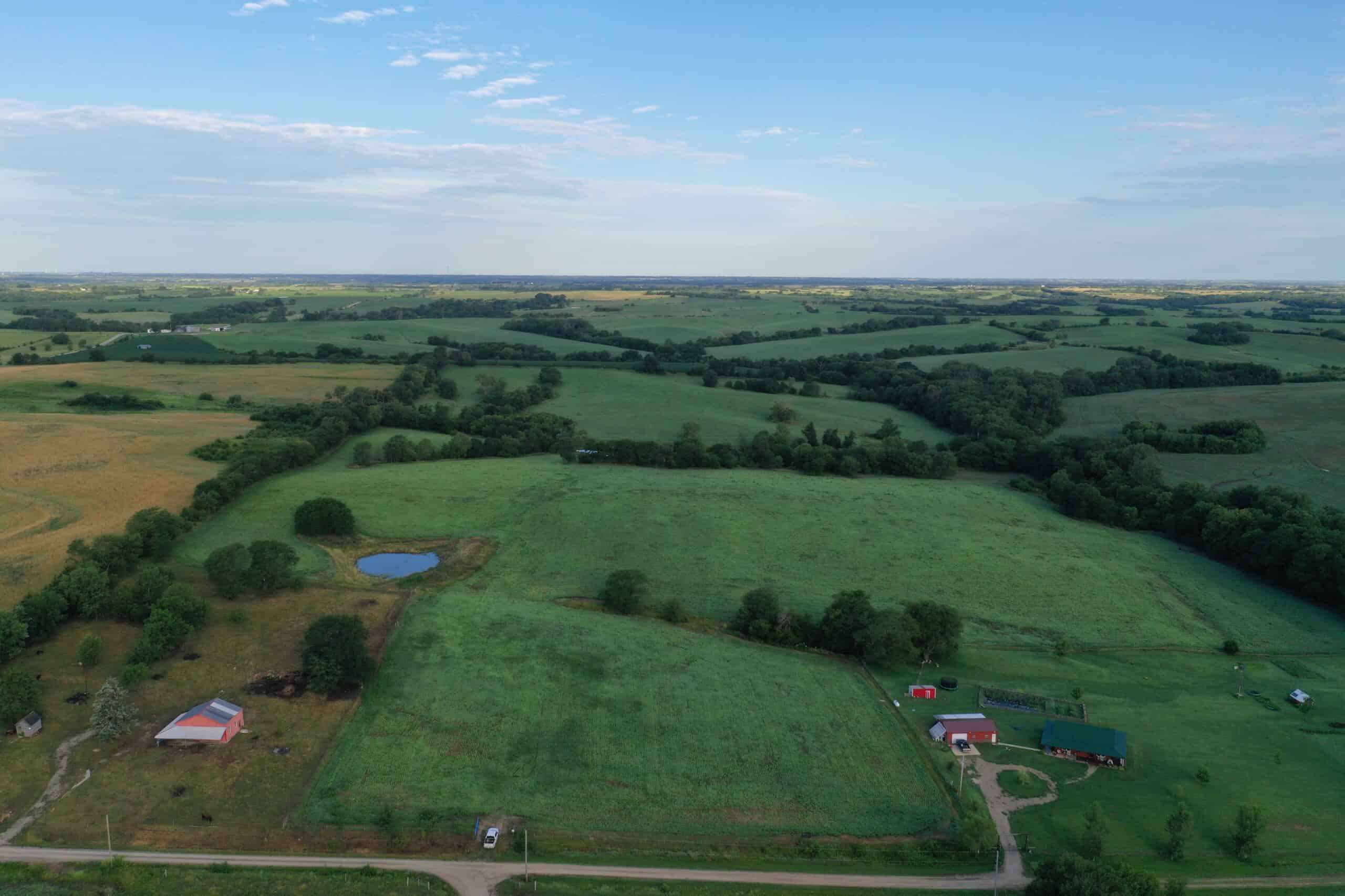 For Sale 72 Acres m/l Row Crop and Hunting