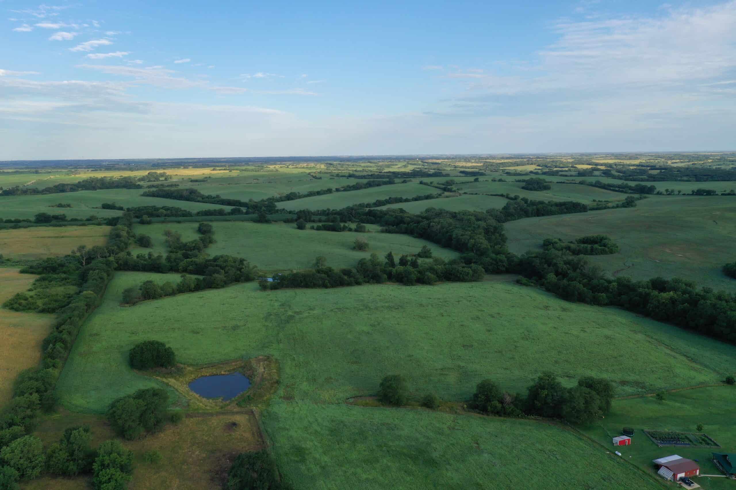 For Sale 72 Acres m/l Row Crop and Hunting