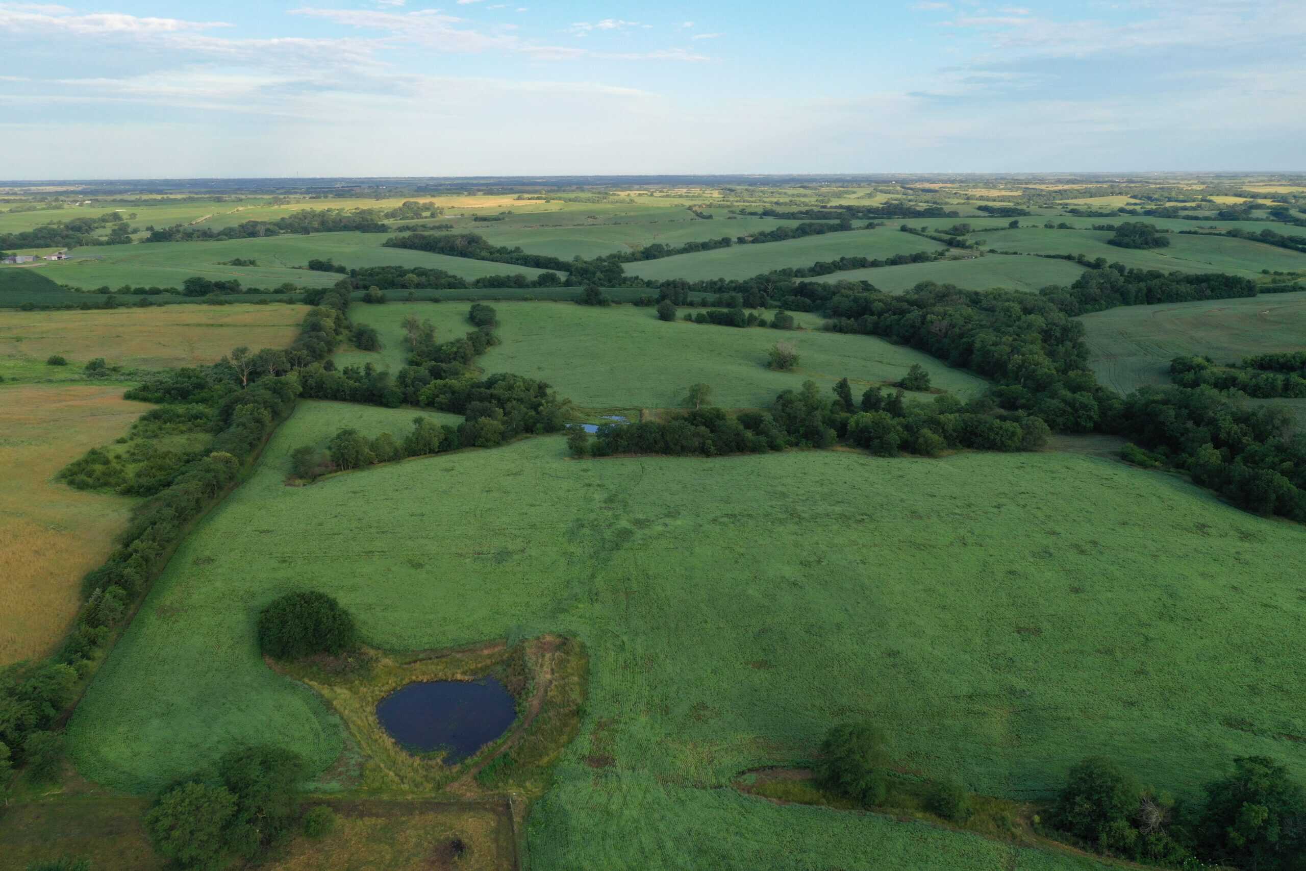 For Sale 72 Acres m/l Row Crop and Hunting