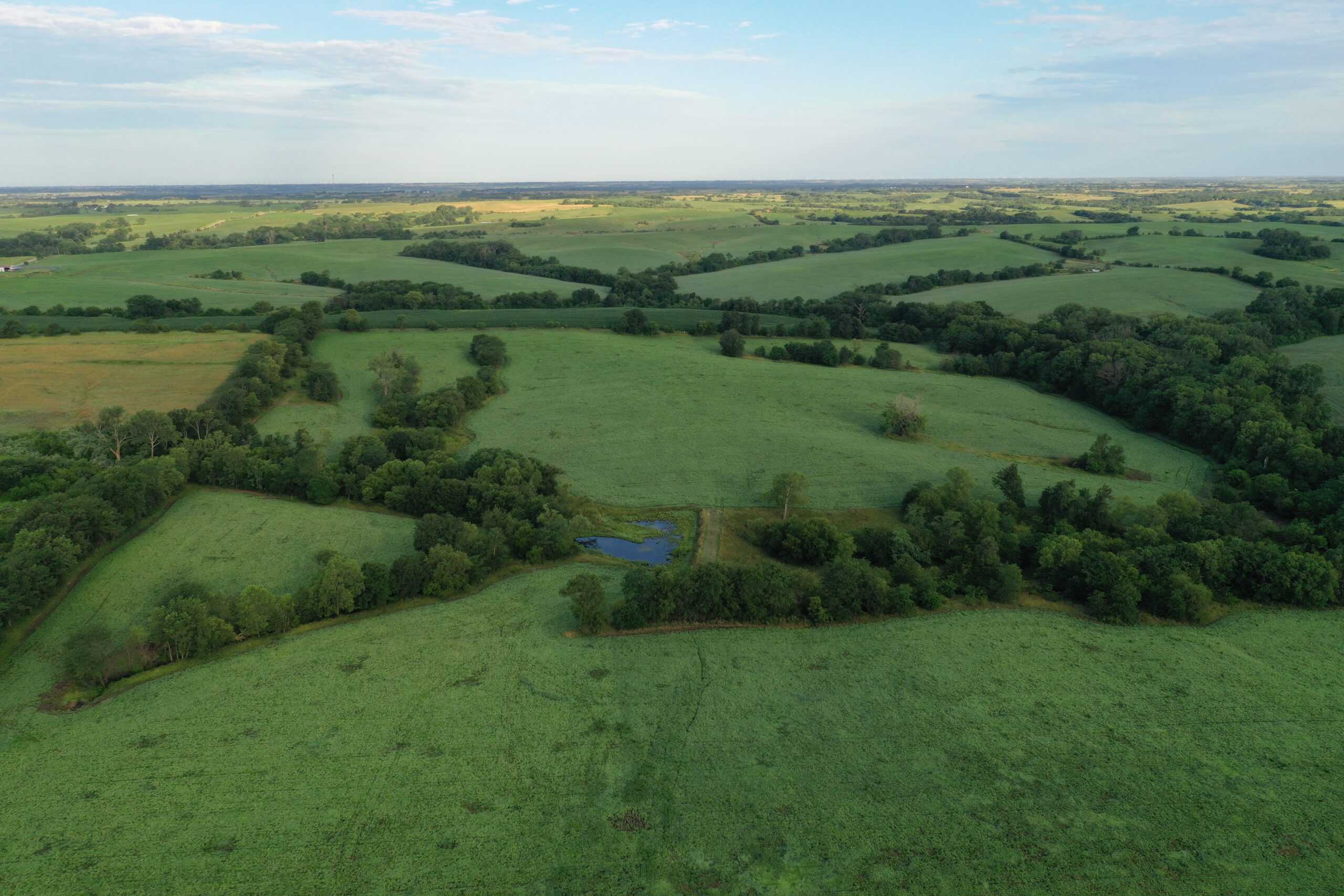 For Sale 72 Acres m/l Row Crop and Hunting