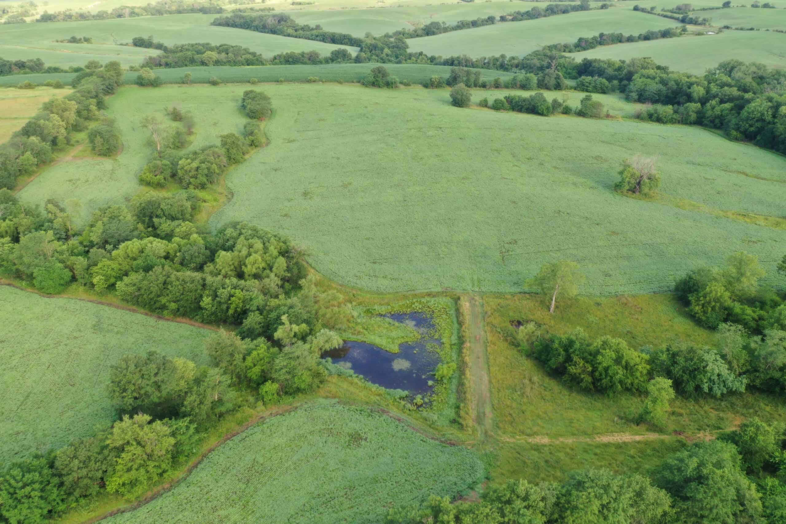 For Sale 72 Acres m/l Row Crop and Hunting