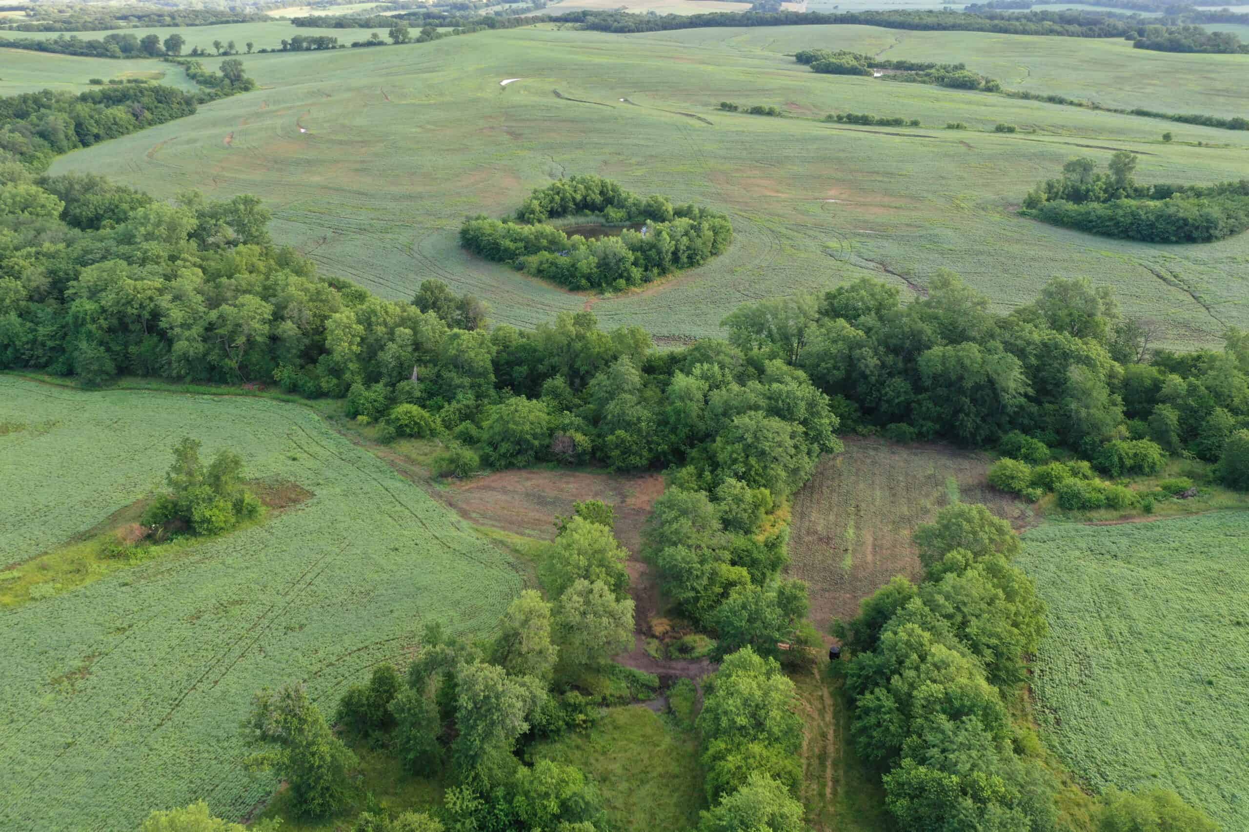 For Sale 72 Acres m/l Row Crop and Hunting