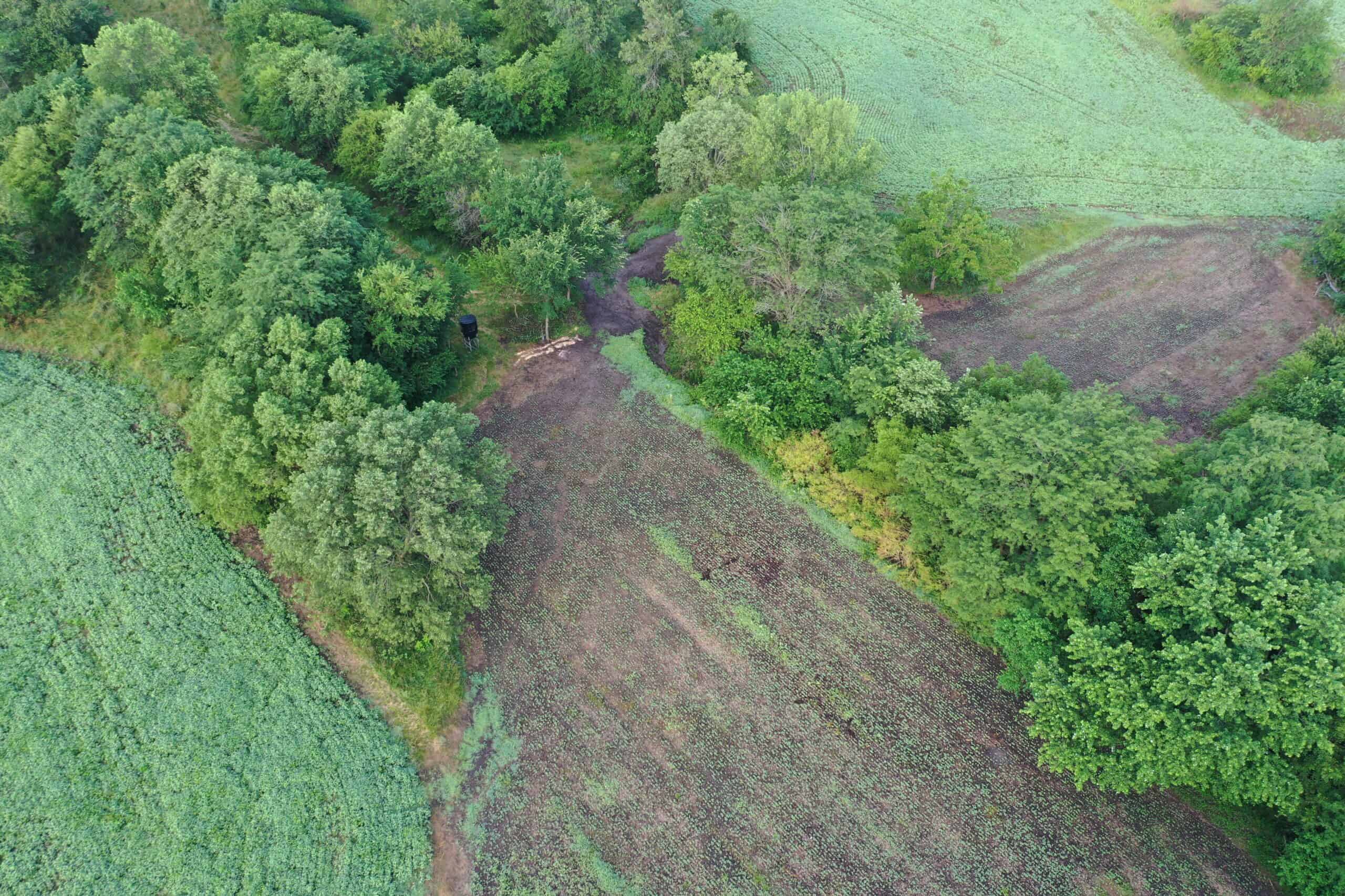 For Sale 72 Acres m/l Row Crop and Hunting