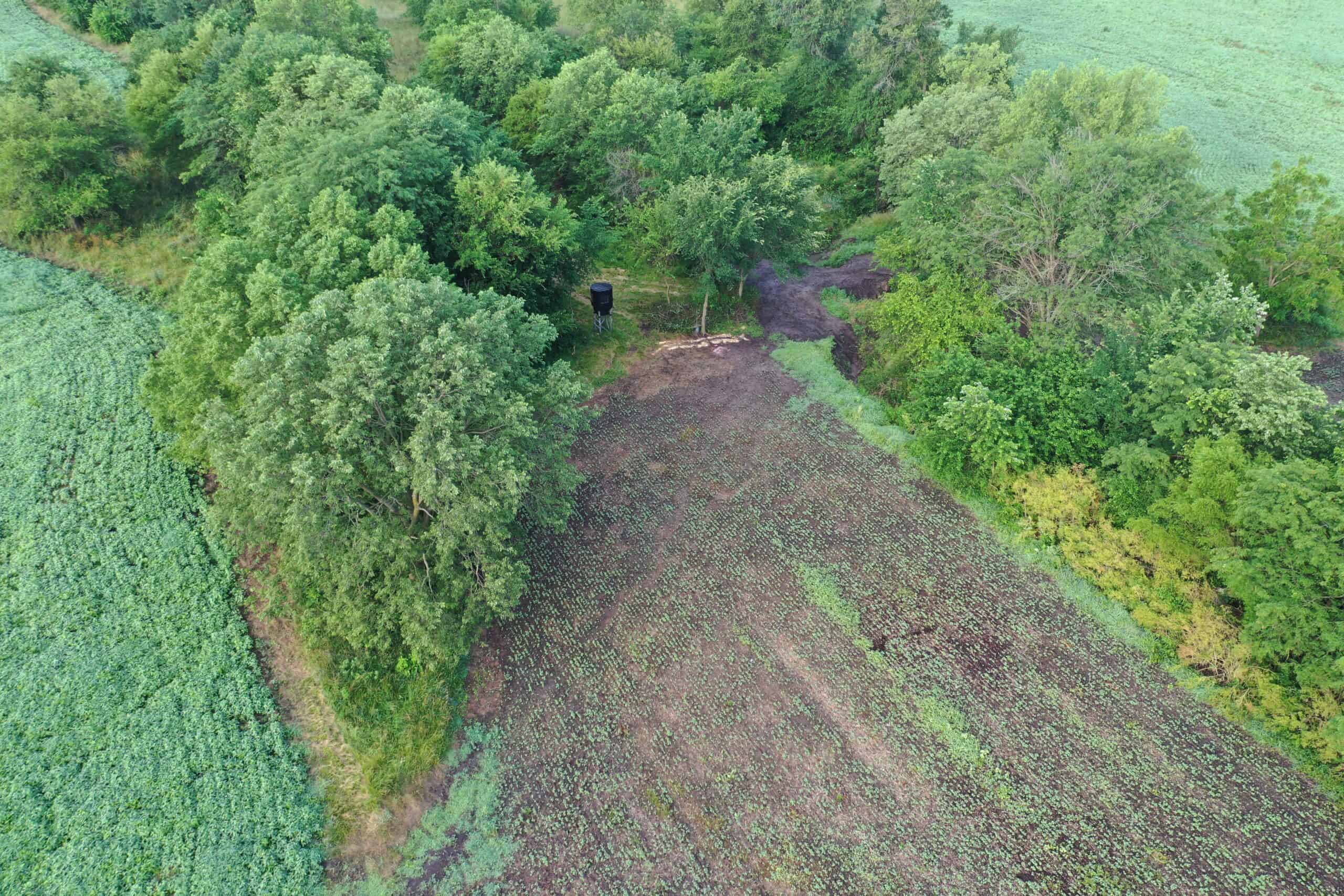 For Sale 72 Acres m/l Row Crop and Hunting