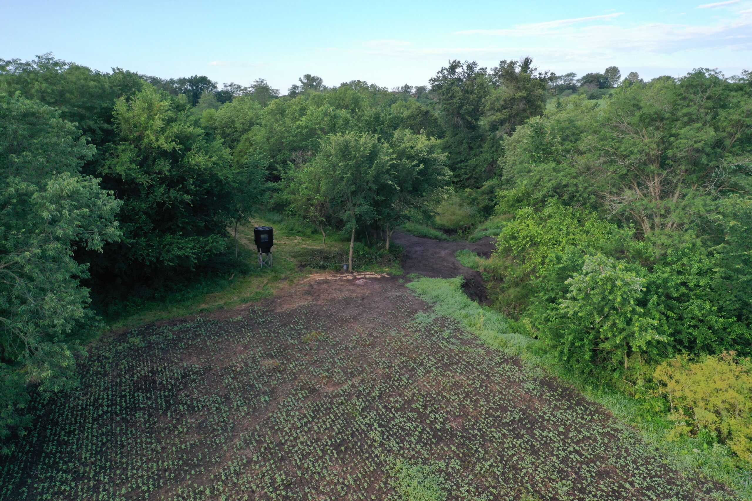 For Sale 72 Acres m/l Row Crop and Hunting