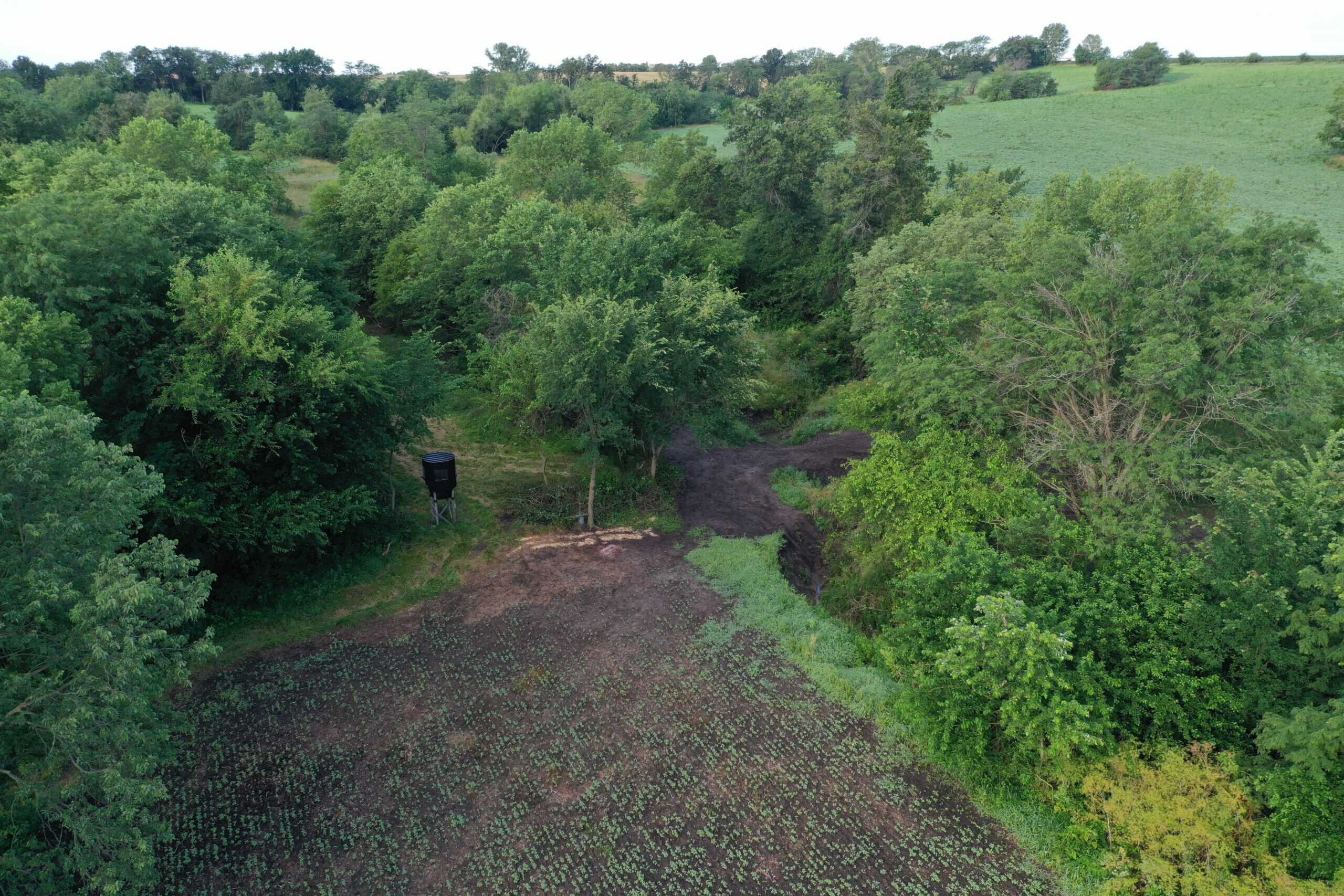 For Sale 72 Acres m/l Row Crop and Hunting