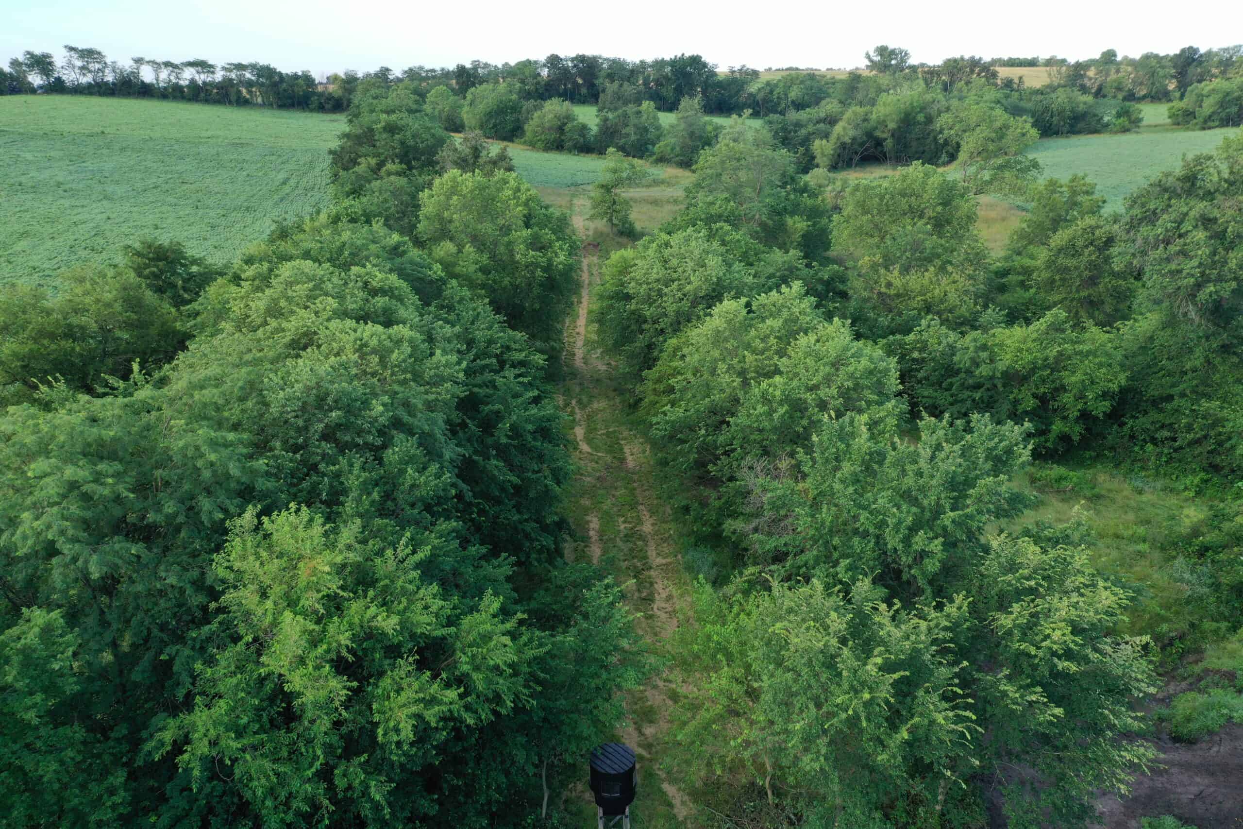 For Sale 72 Acres m/l Row Crop and Hunting