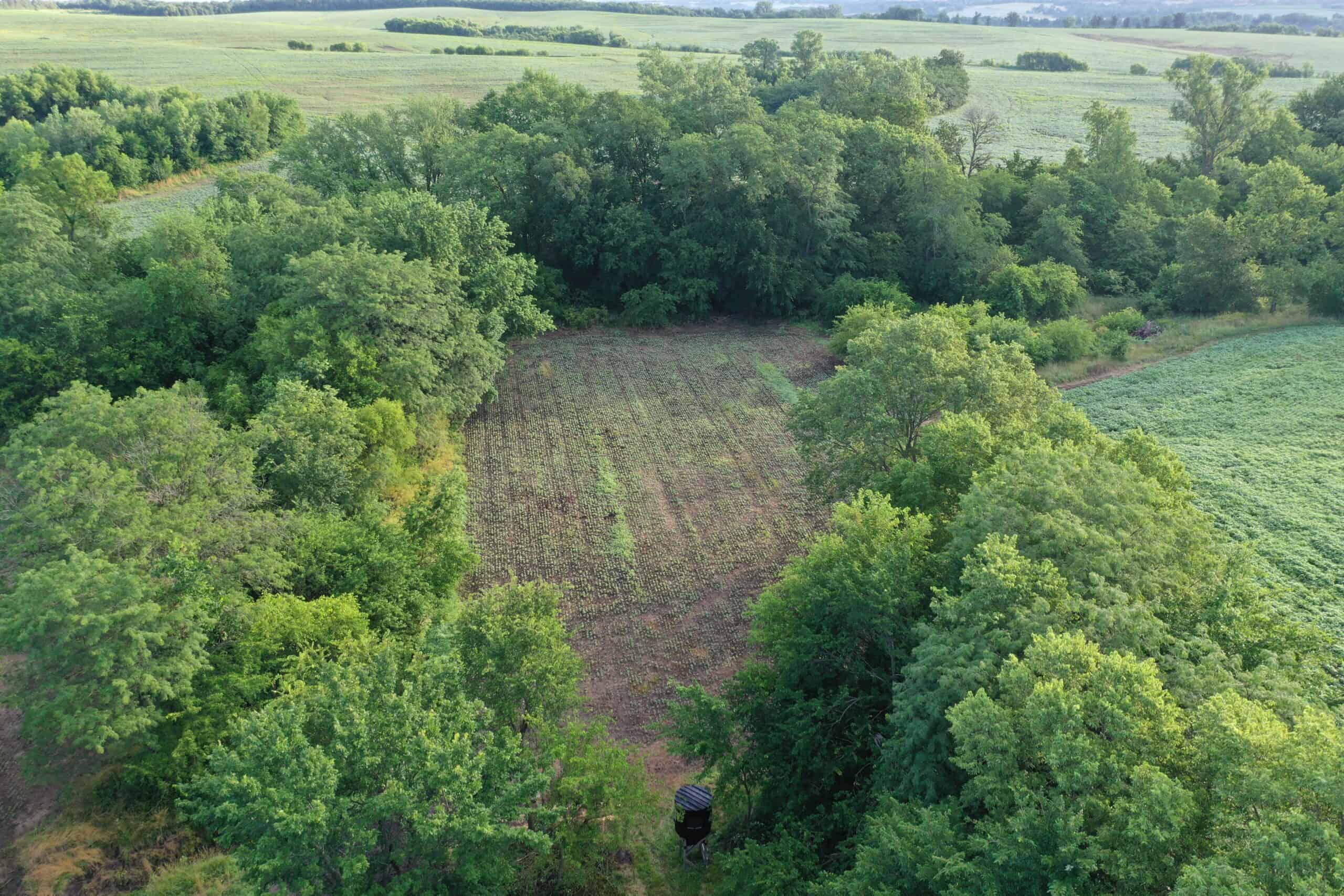 For Sale 72 Acres m/l Row Crop and Hunting