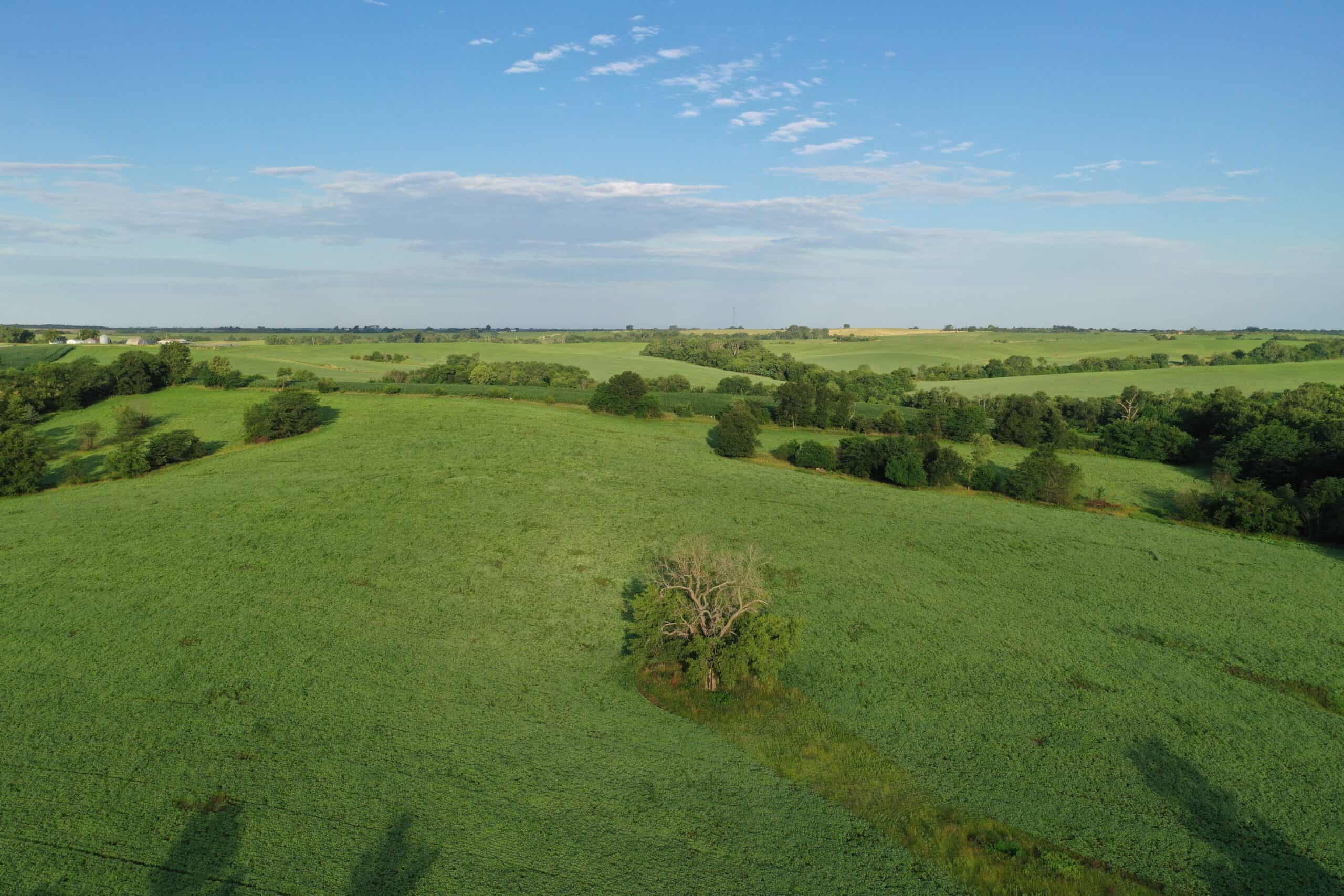 For Sale 72 Acres m/l Row Crop and Hunting