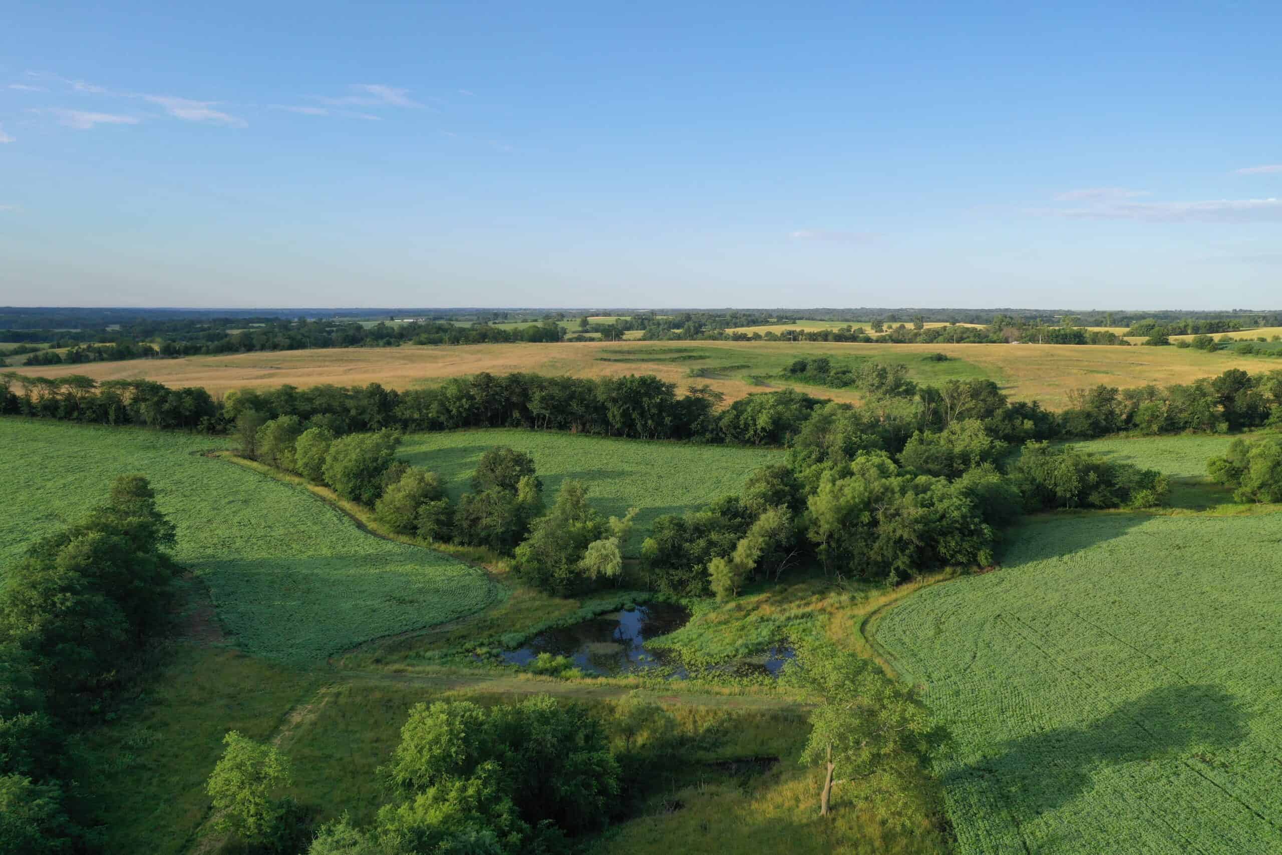 For Sale 72 Acres m/l Row Crop and Hunting
