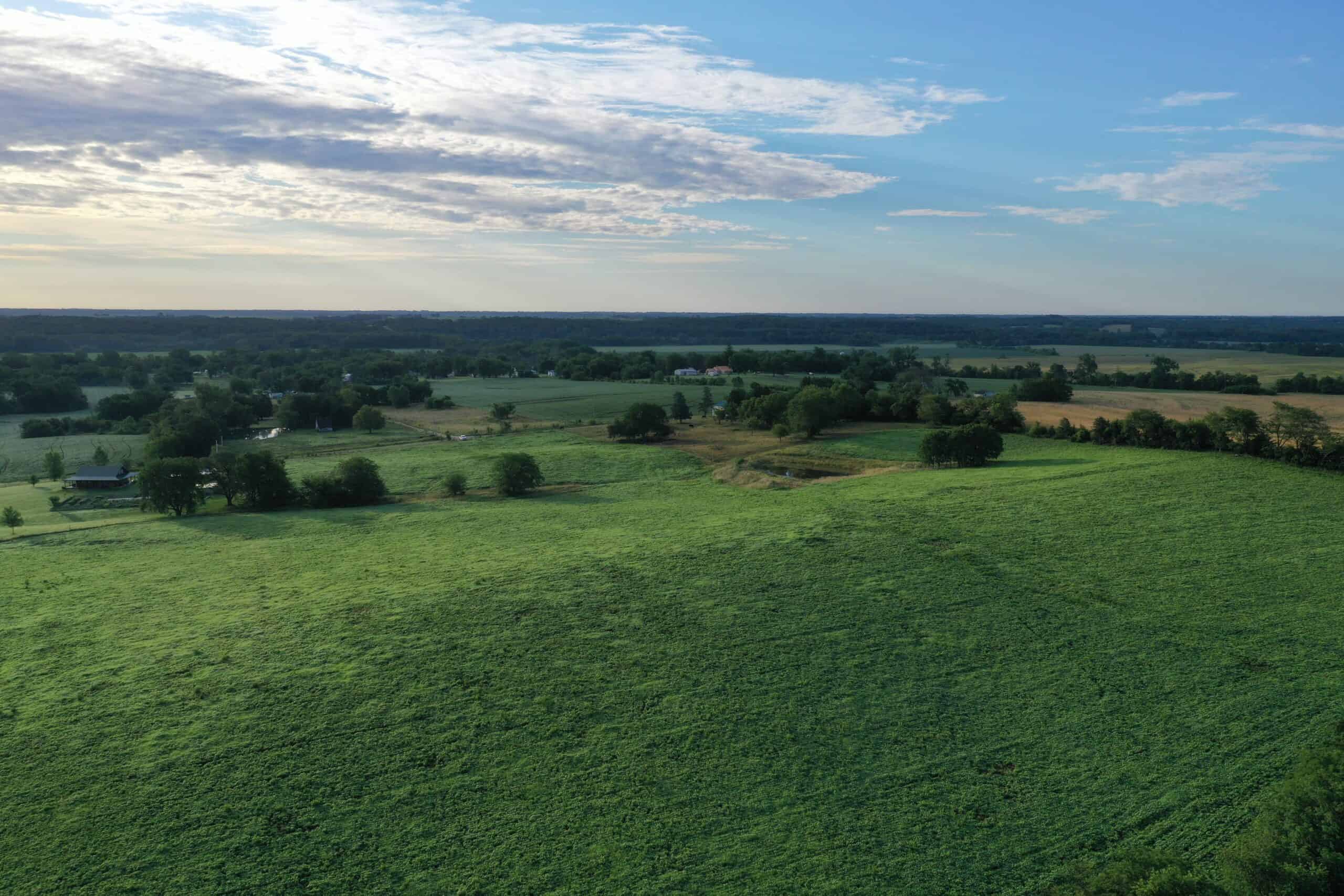 For Sale 72 Acres m/l Row Crop and Hunting