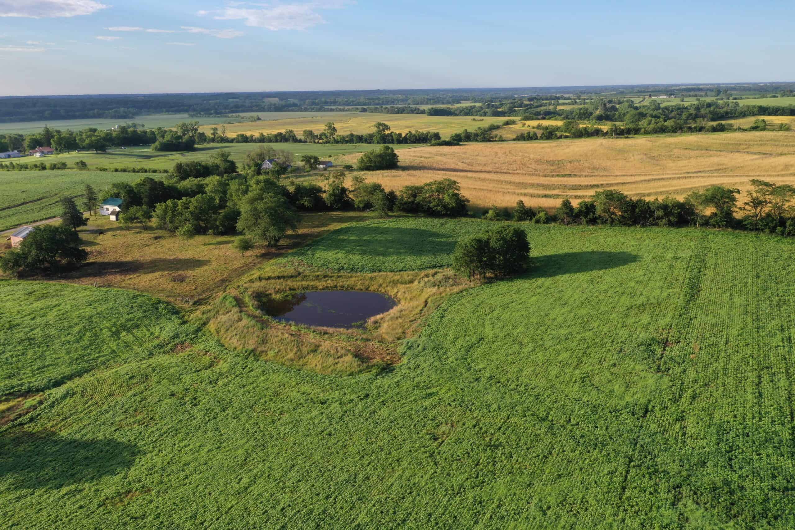 For Sale 72 Acres m/l Row Crop and Hunting
