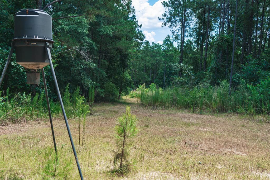 Downsville 135 – Union Parish Timberland for Sale
