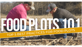 Top 5 Best Practices for Food Plots: Food Plots 101