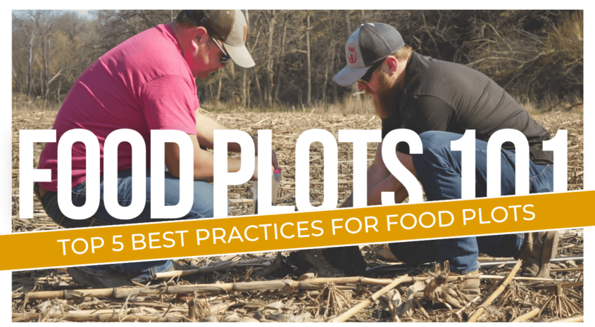 Top 5 Best Practices for Food Plots: Food Plots 101