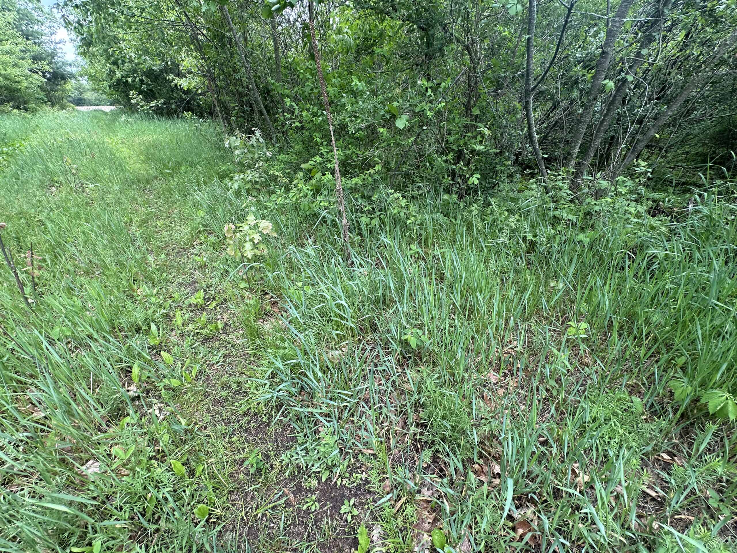 70+/- Acres Located in Waushara County