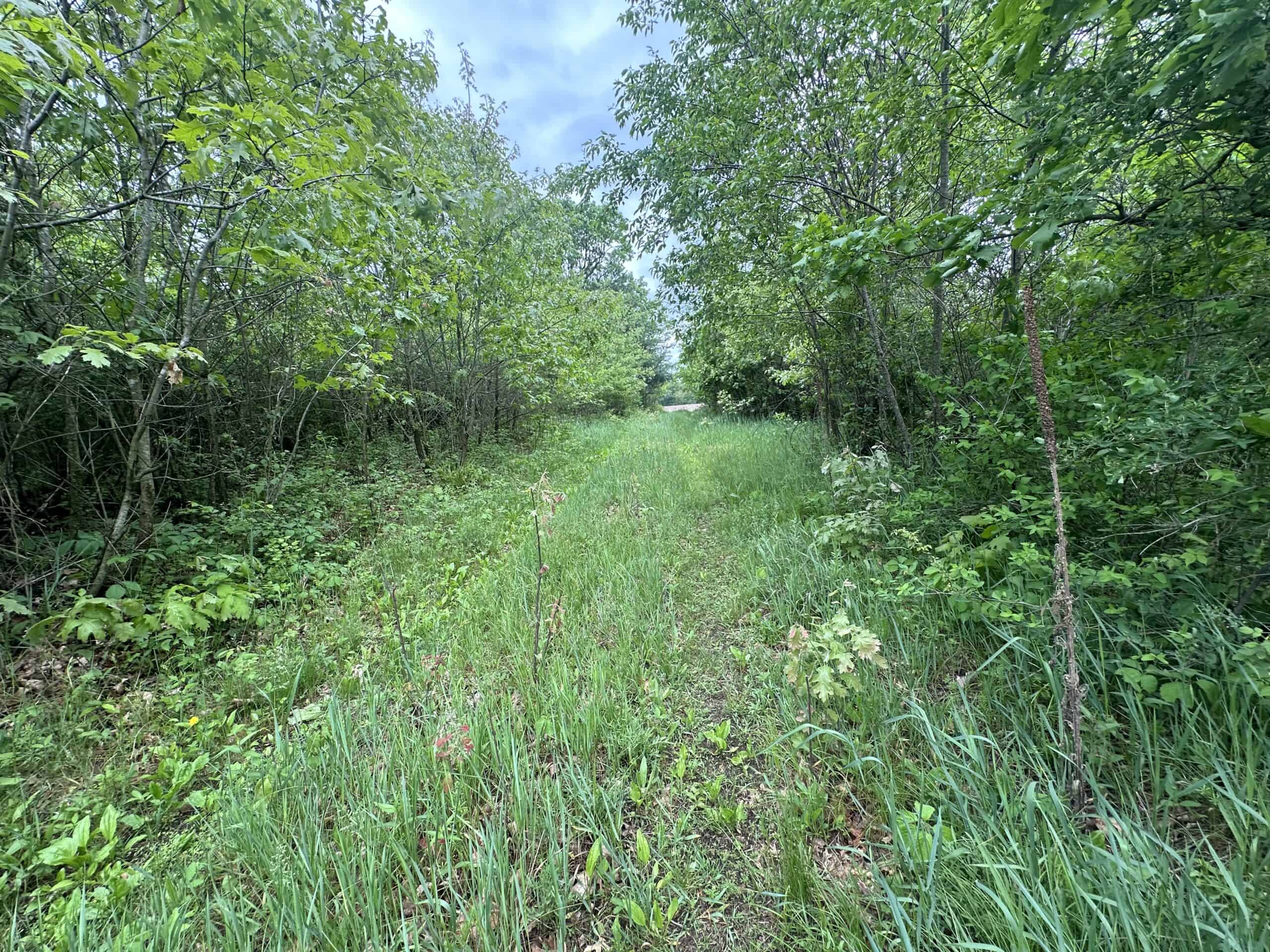 70+/- Acres Located in Waushara County
