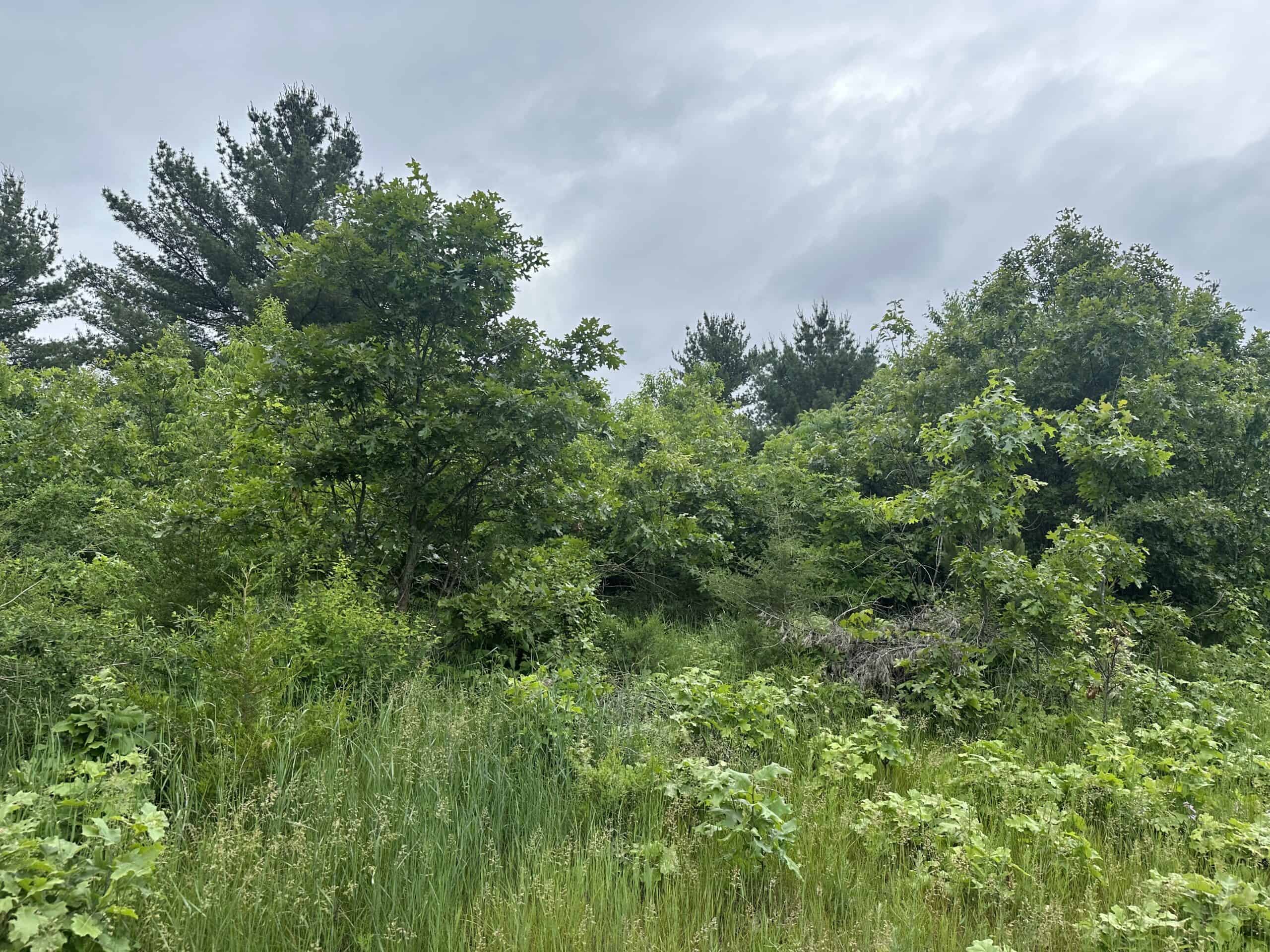 70+/- Acres Located in Waushara County