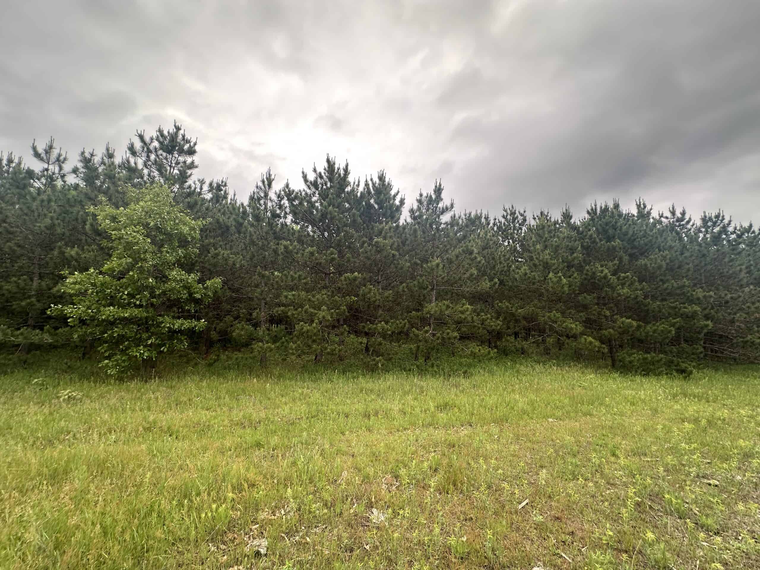 52 +/- Acres Located in Waushara County