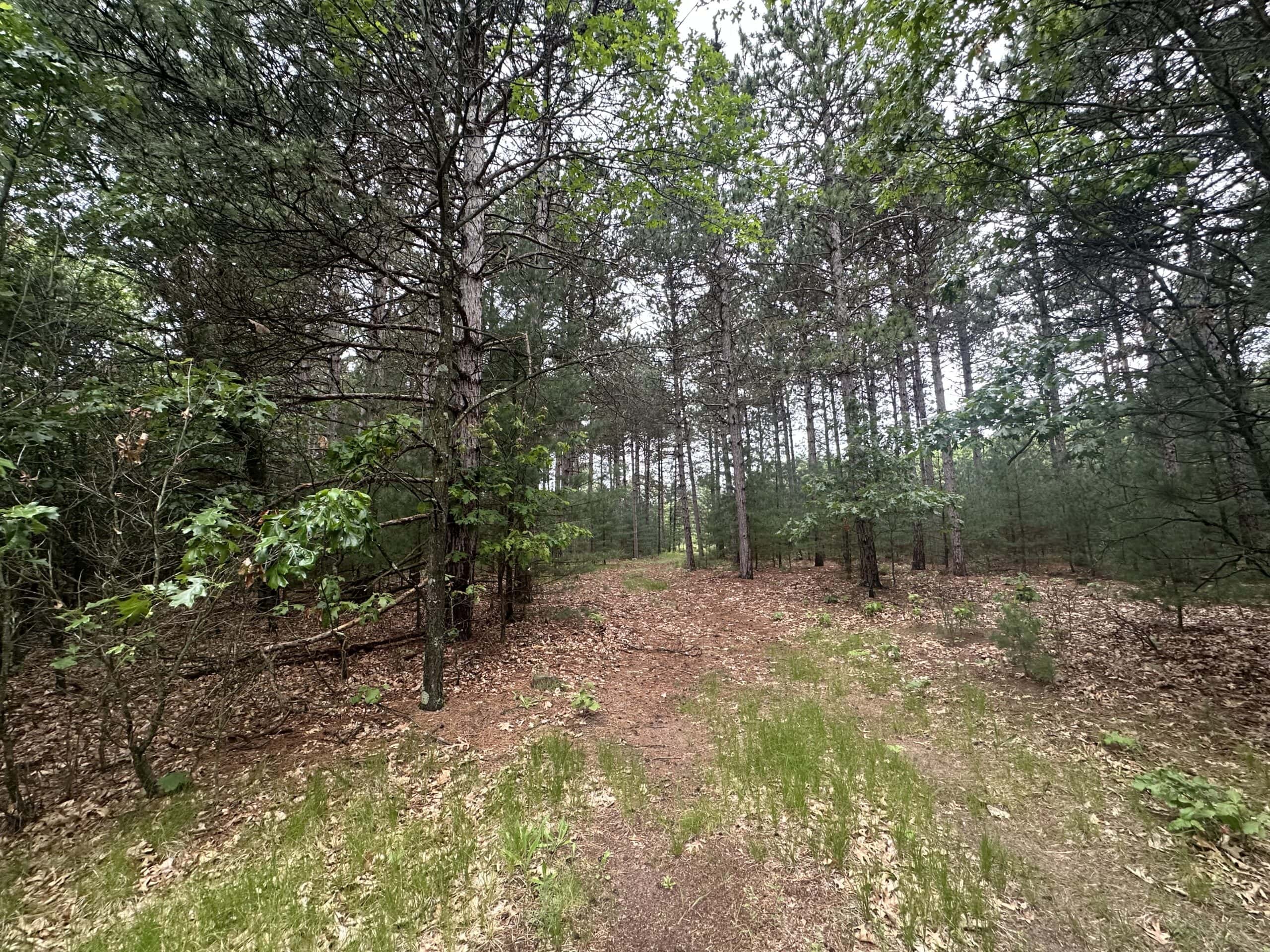 52 +/- Acres Located in Waushara County