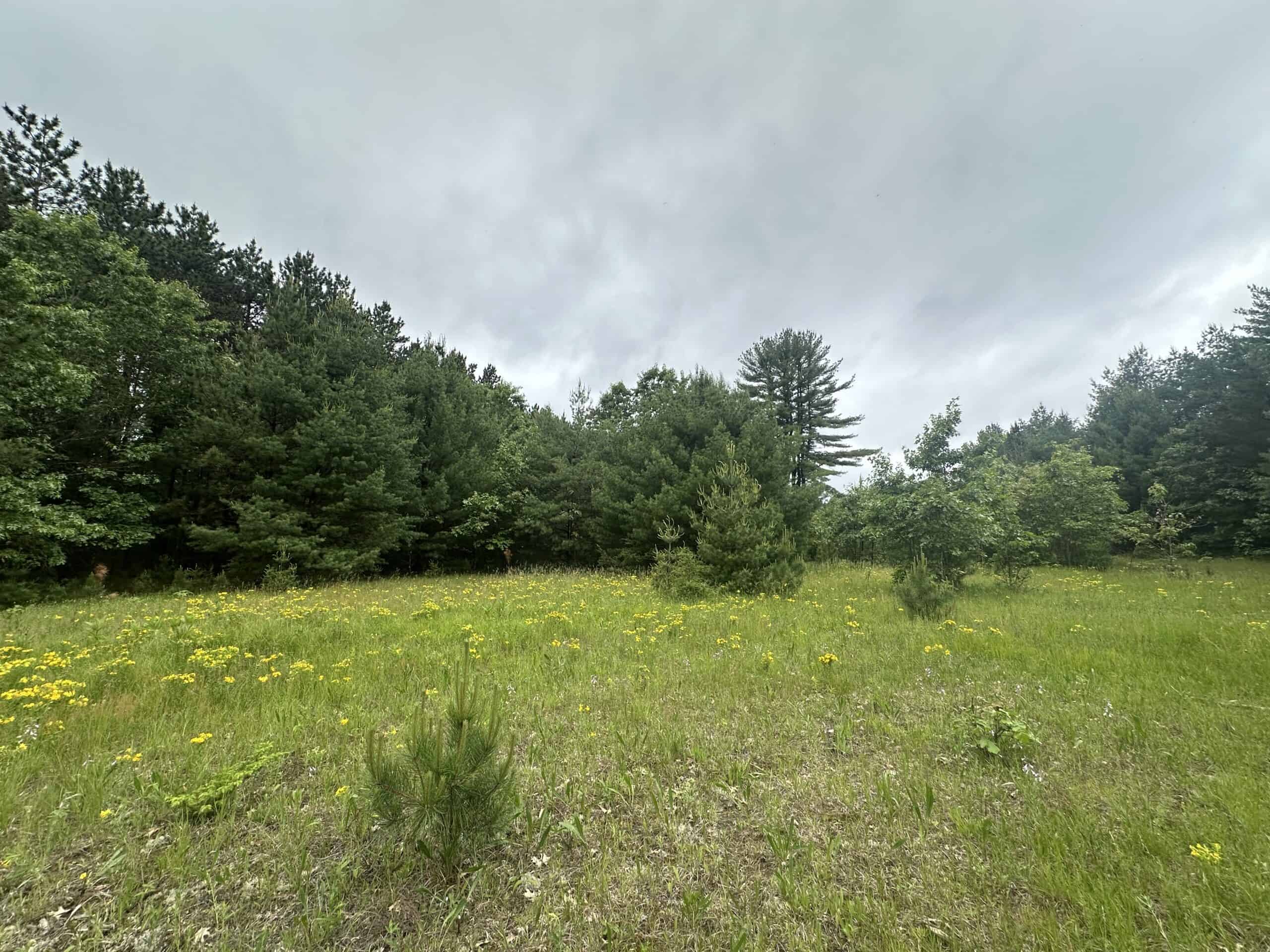 52 +/- Acres Located in Waushara County