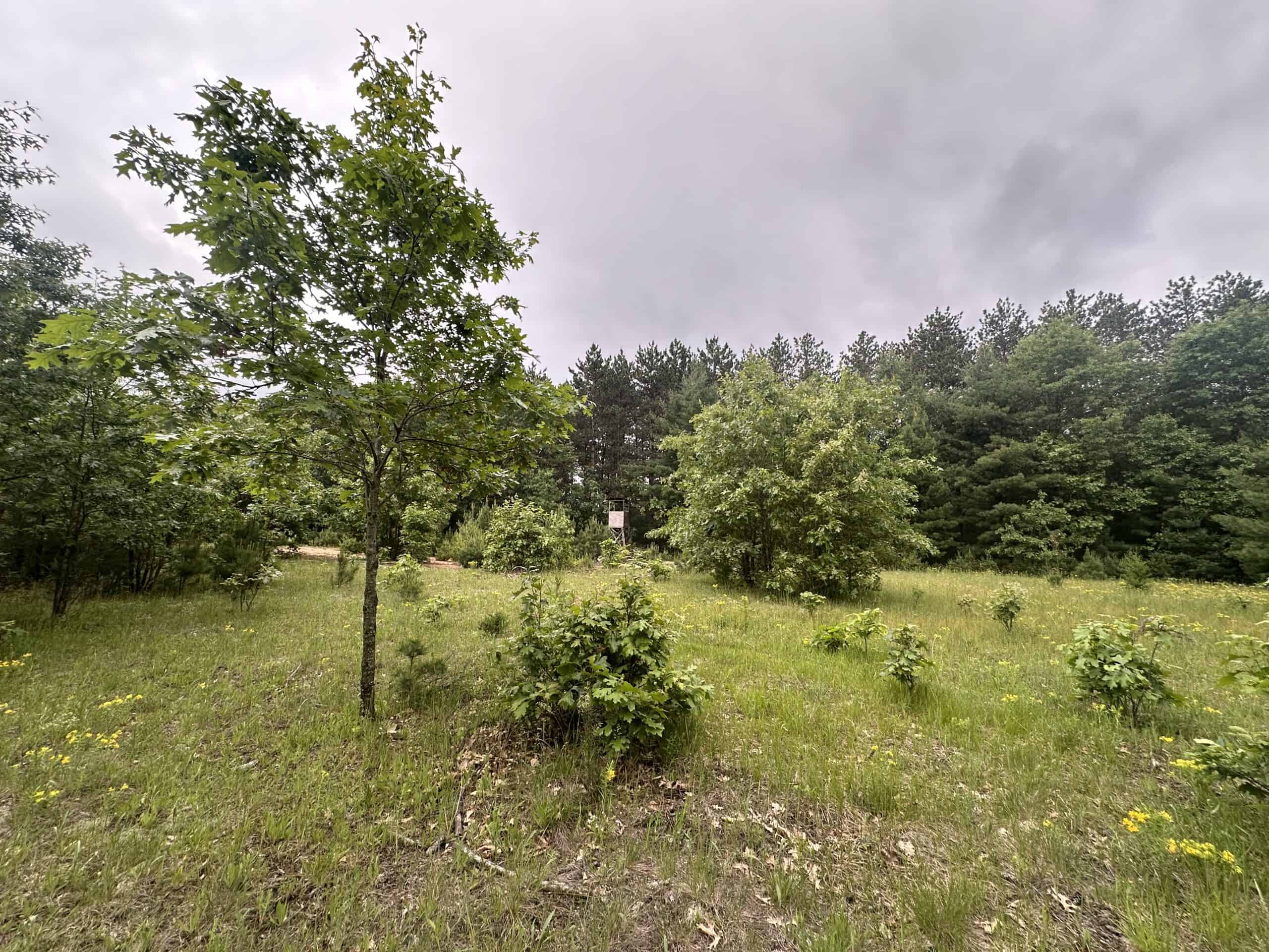 52 +/- Acres Located in Waushara County
